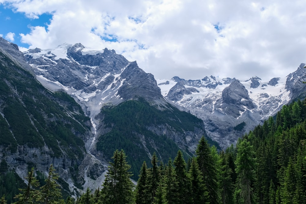 green pine trees near snow covered mountain during daytime