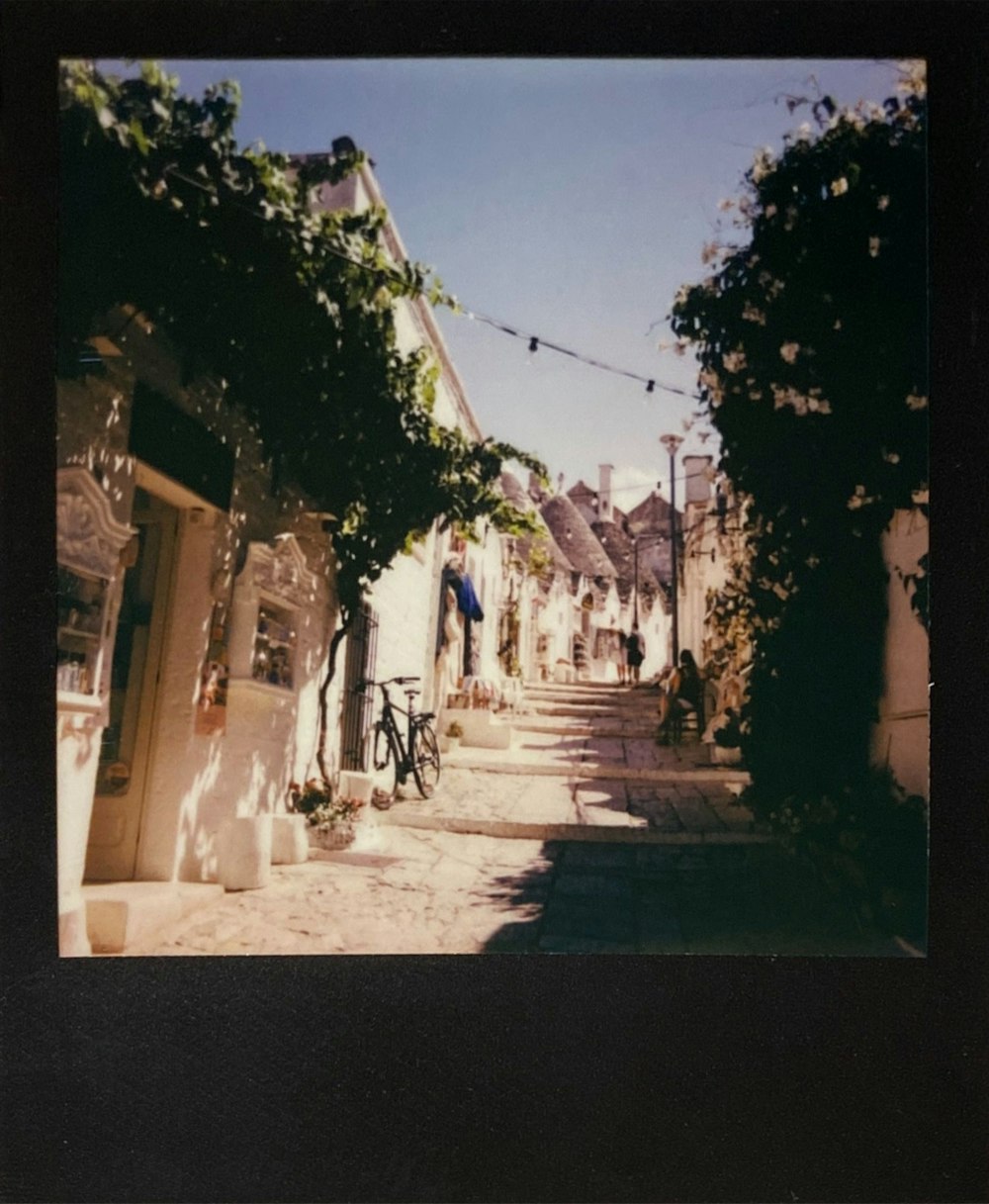 people walking on street during daytime