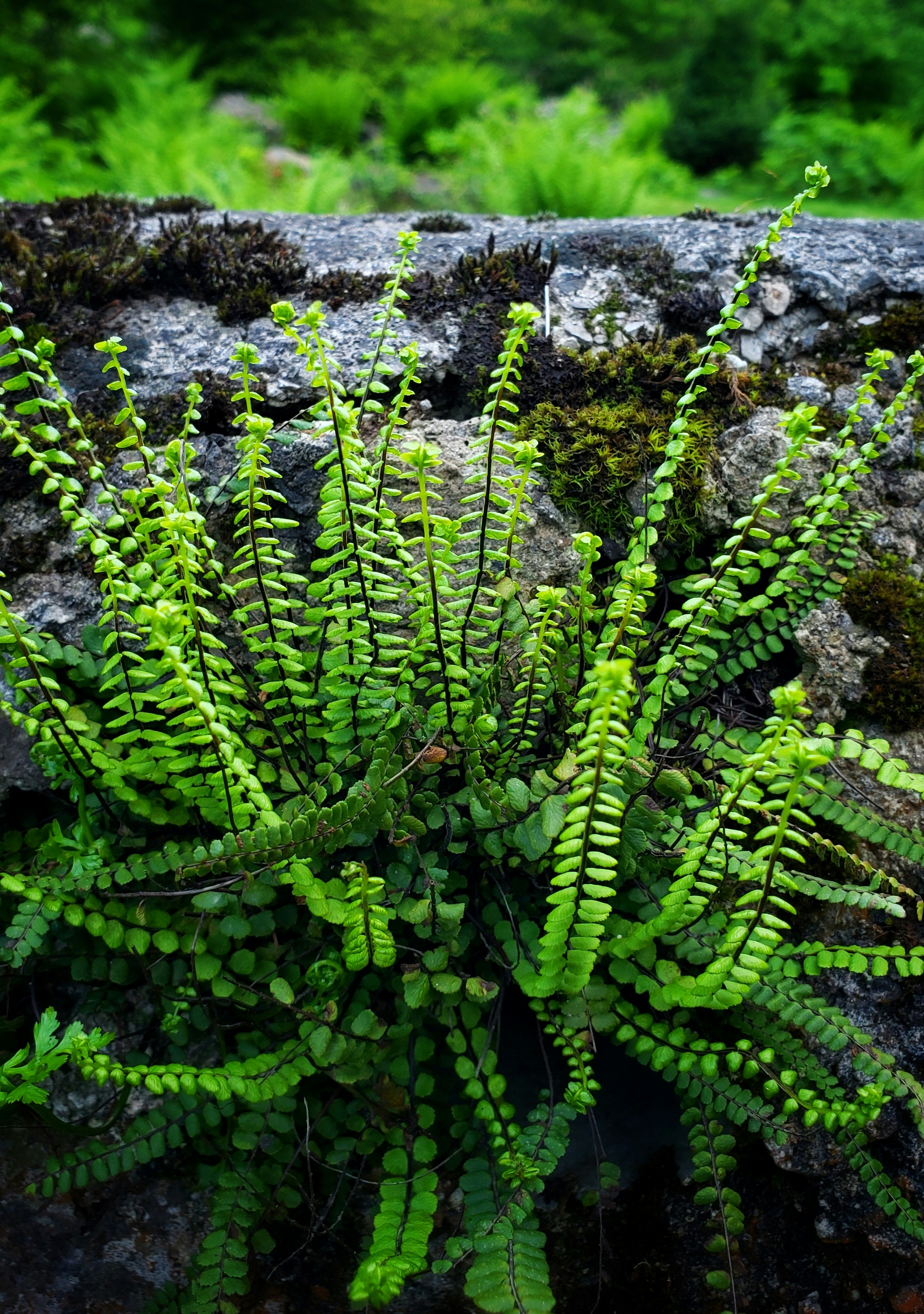 Photo by gholipasandi