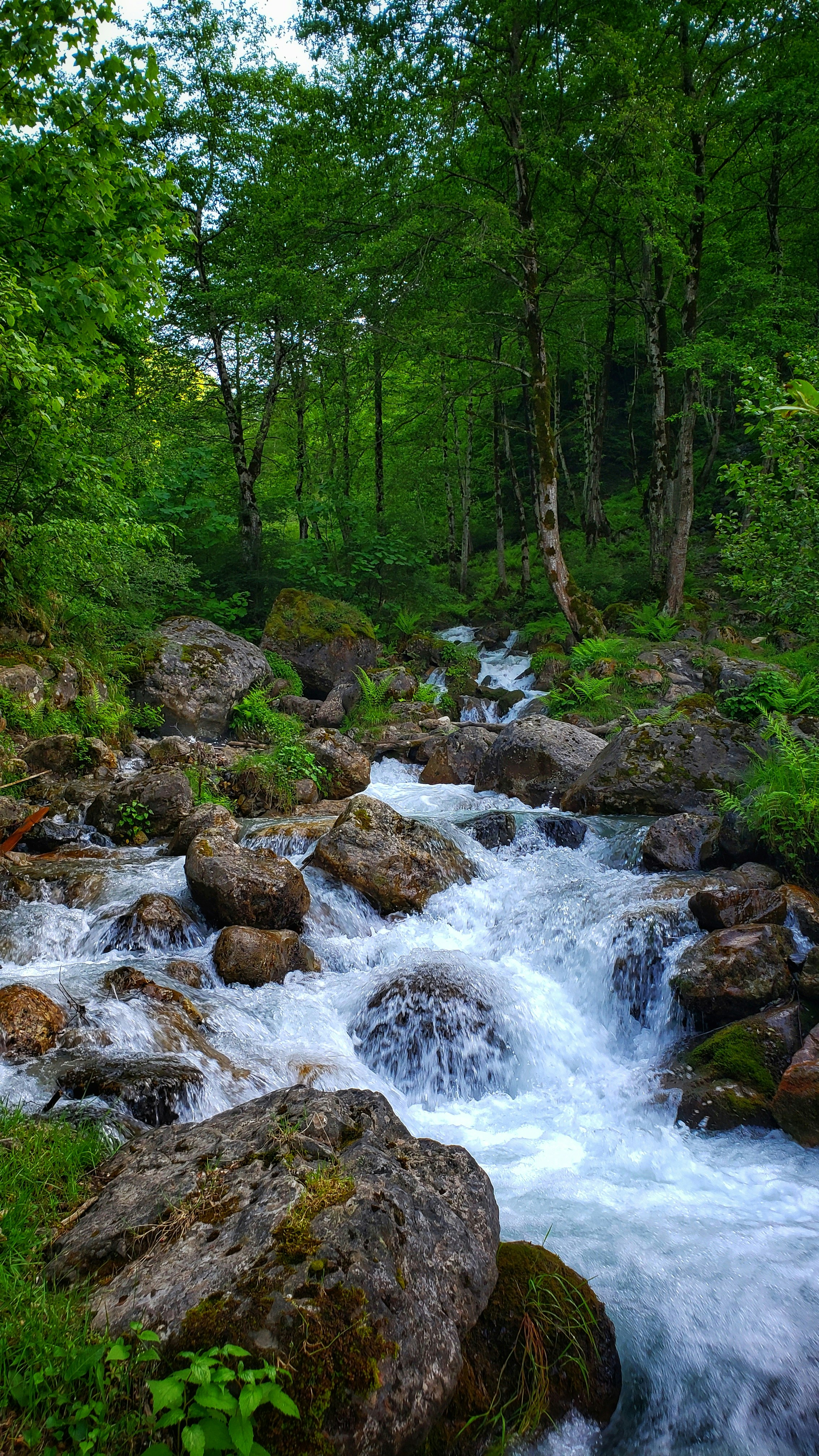 Photo by gholipasandi