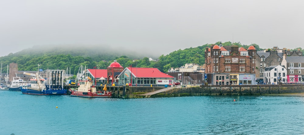 houses near body of water during daytime