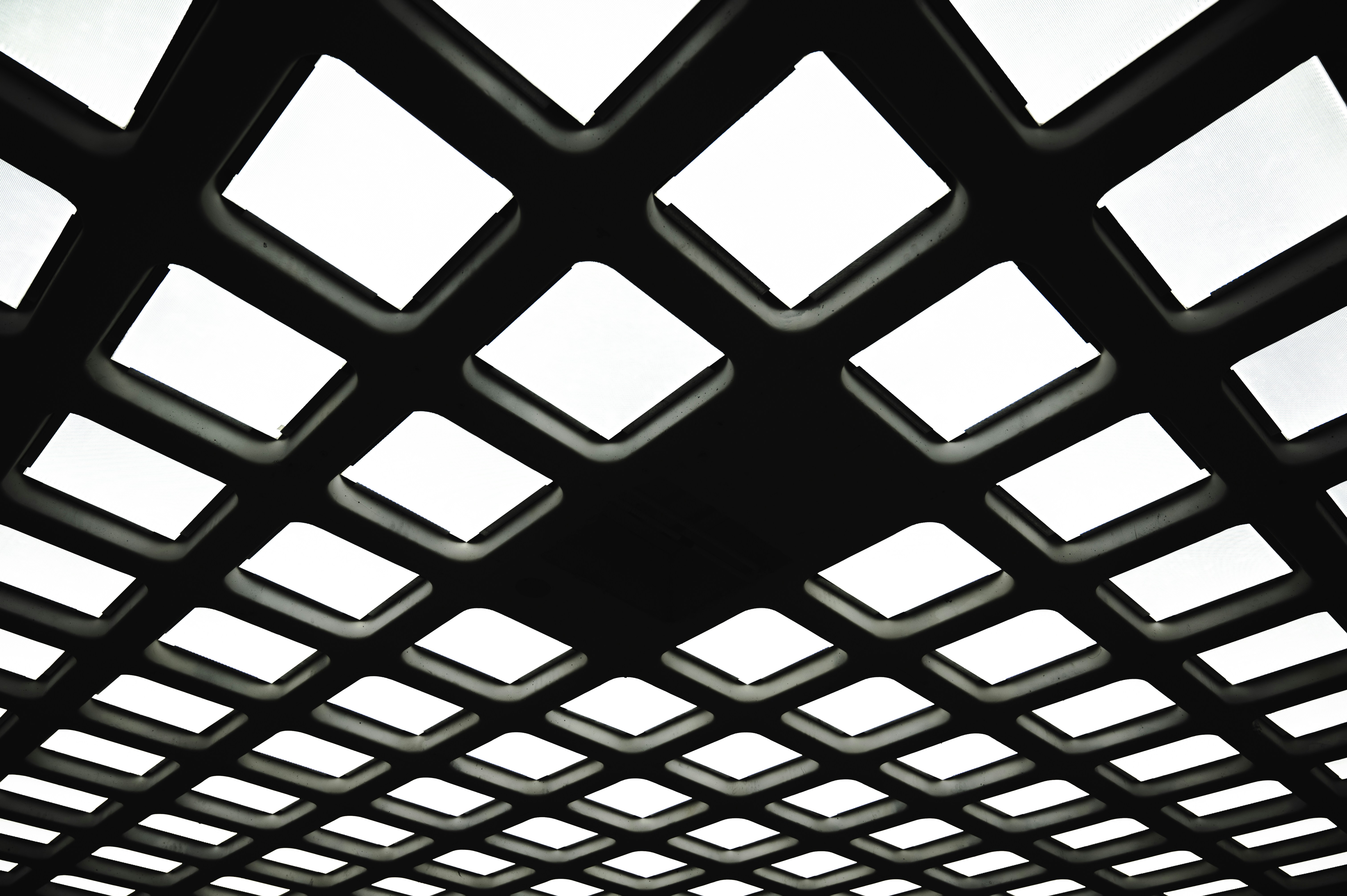 Photo by ryunosuke_kikuno