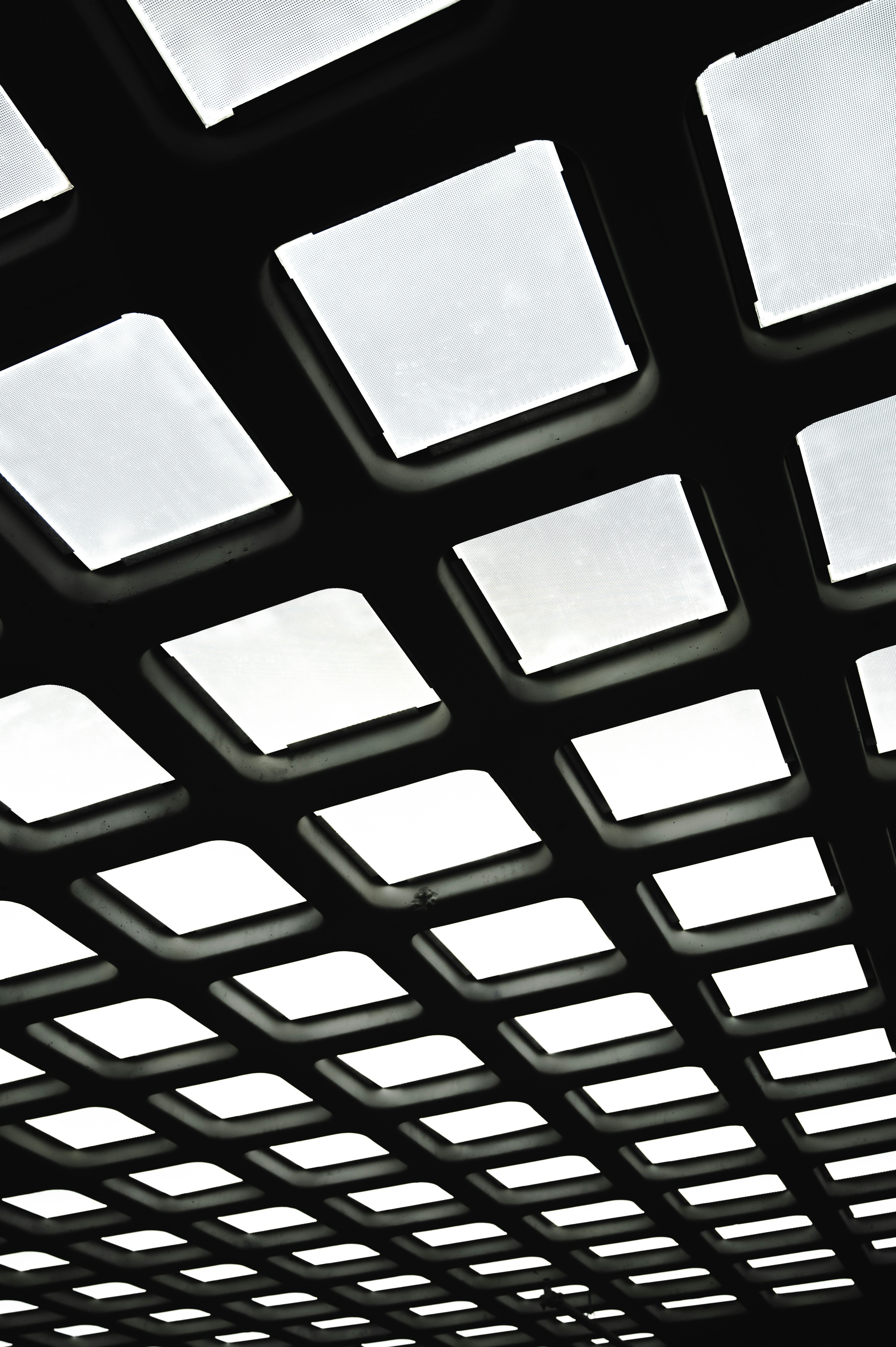 Photo by ryunosuke_kikuno