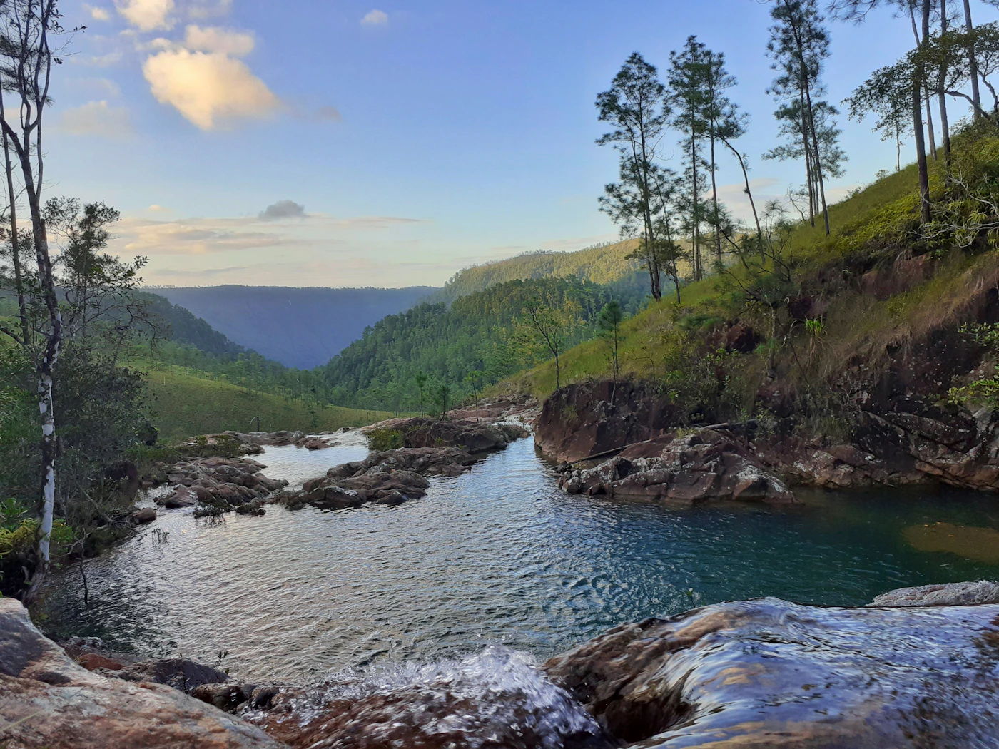 Río rodeado de selva tropical en el interior de Belice