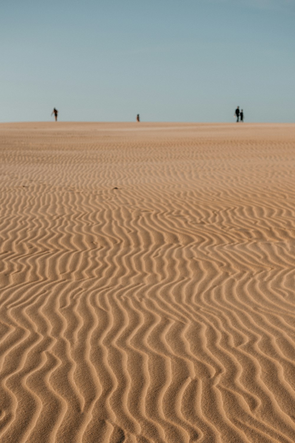 person walking on brown sand during daytime