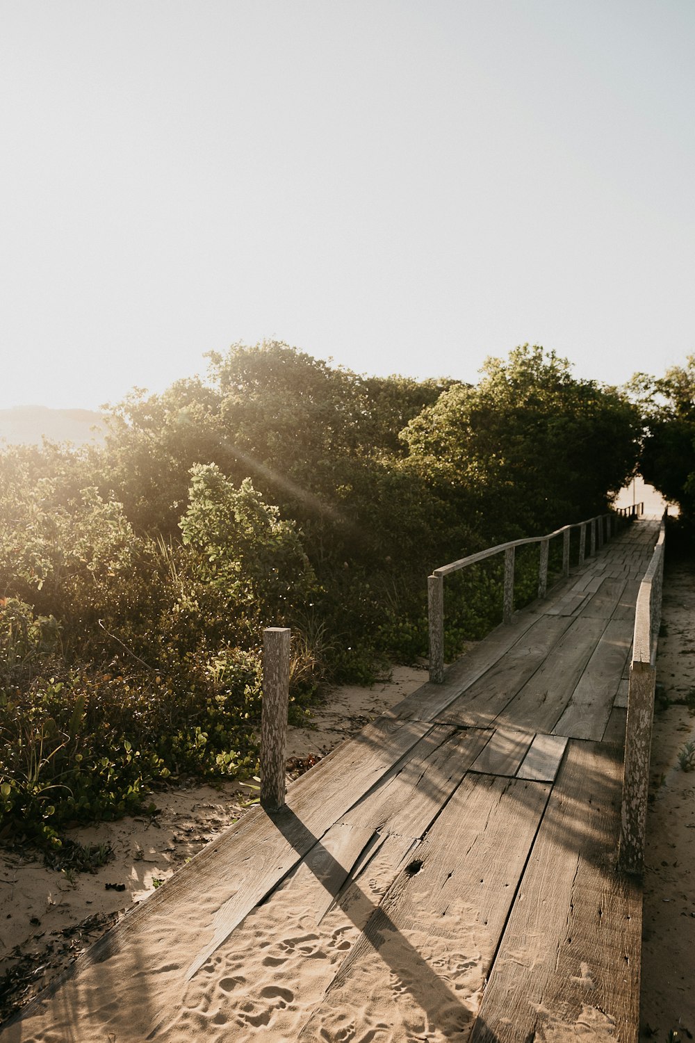 person walking on wooden bridge during daytime