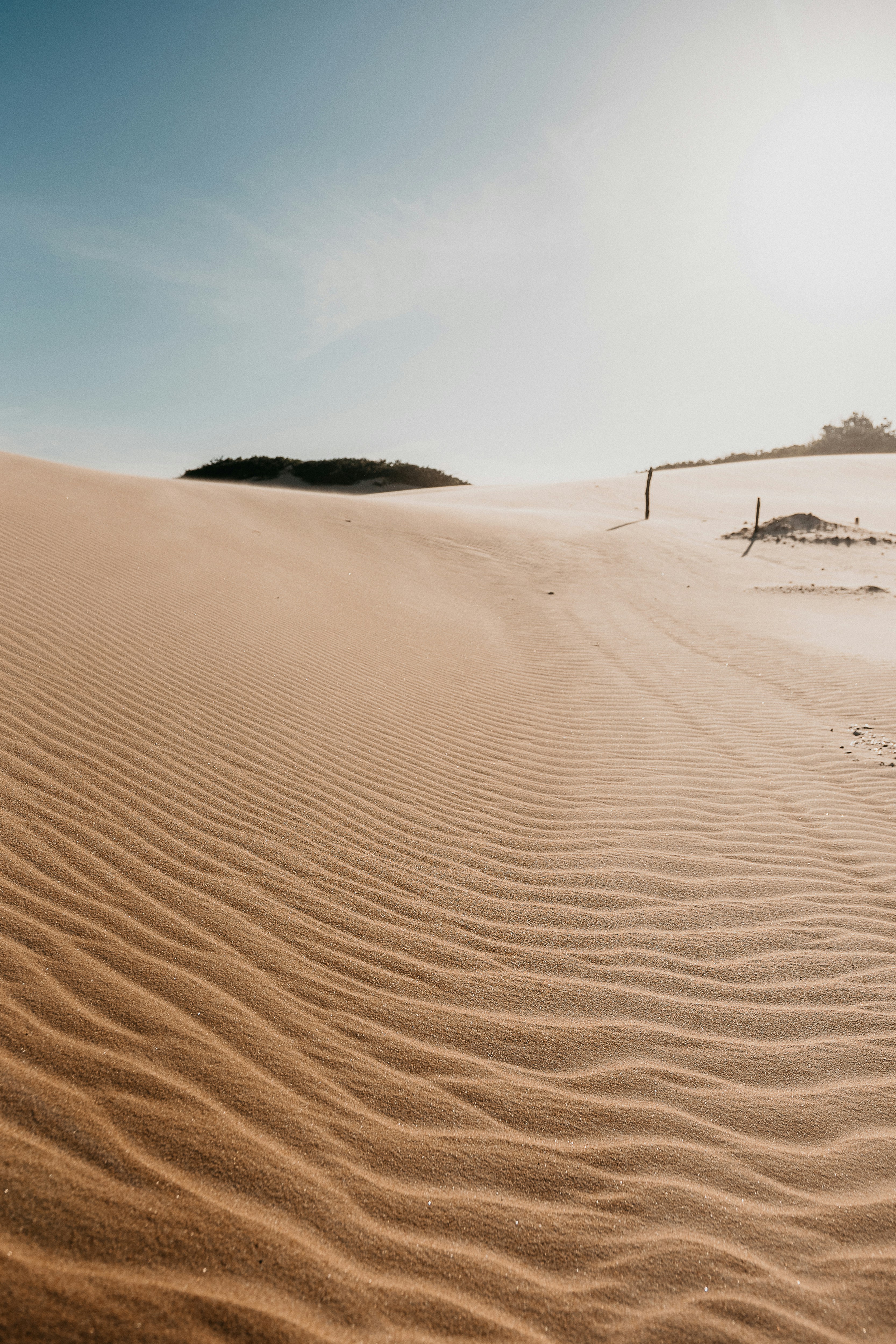 Photo by vitormonthay