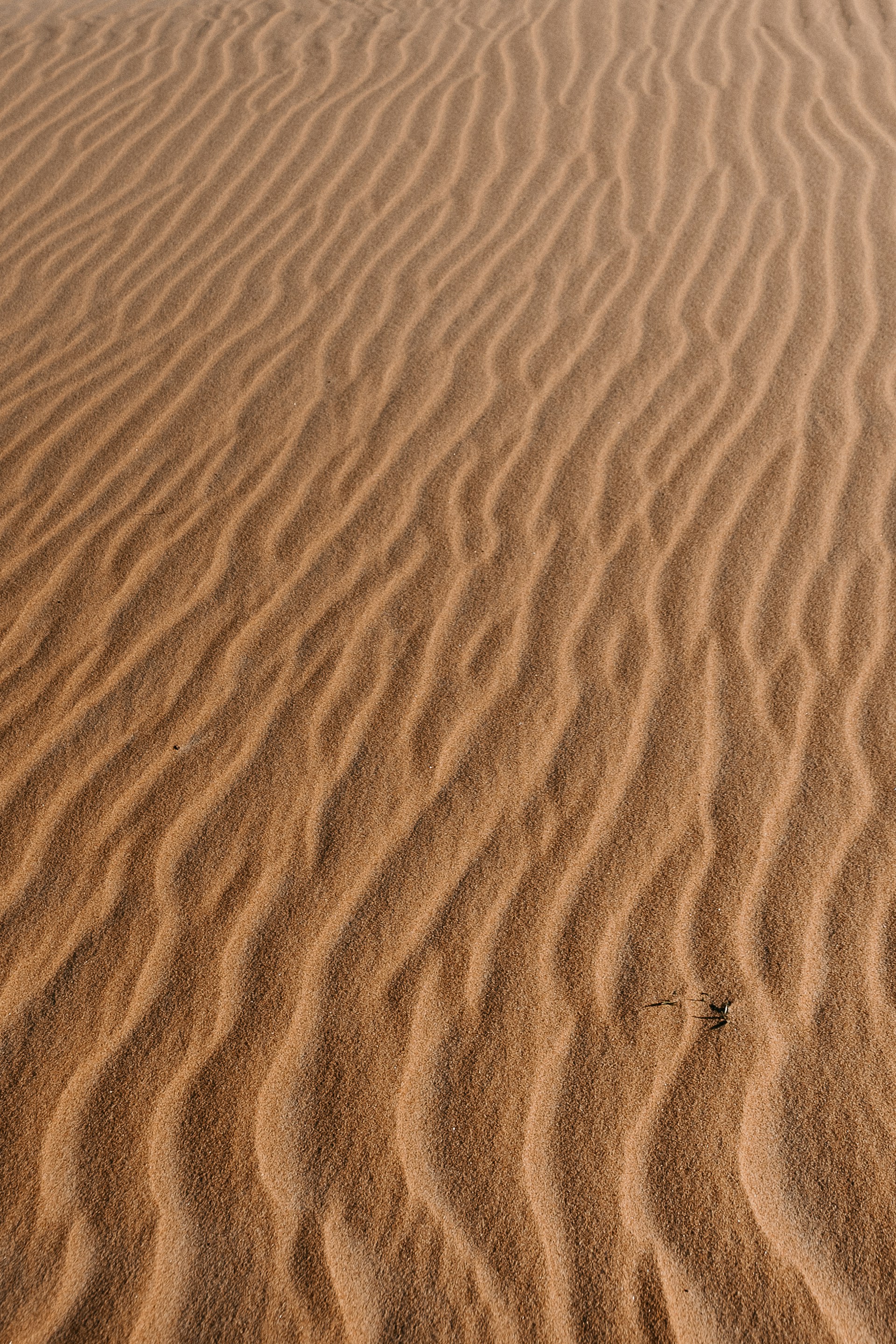 brown sand with footprints during daytime