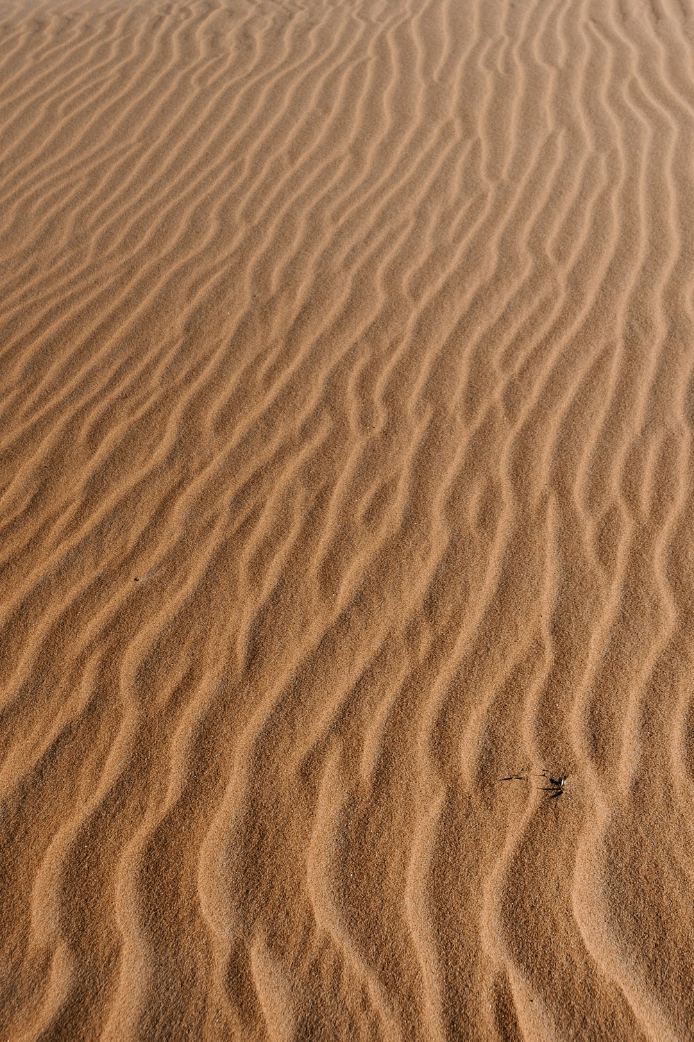 brown sand with footprints during daytime