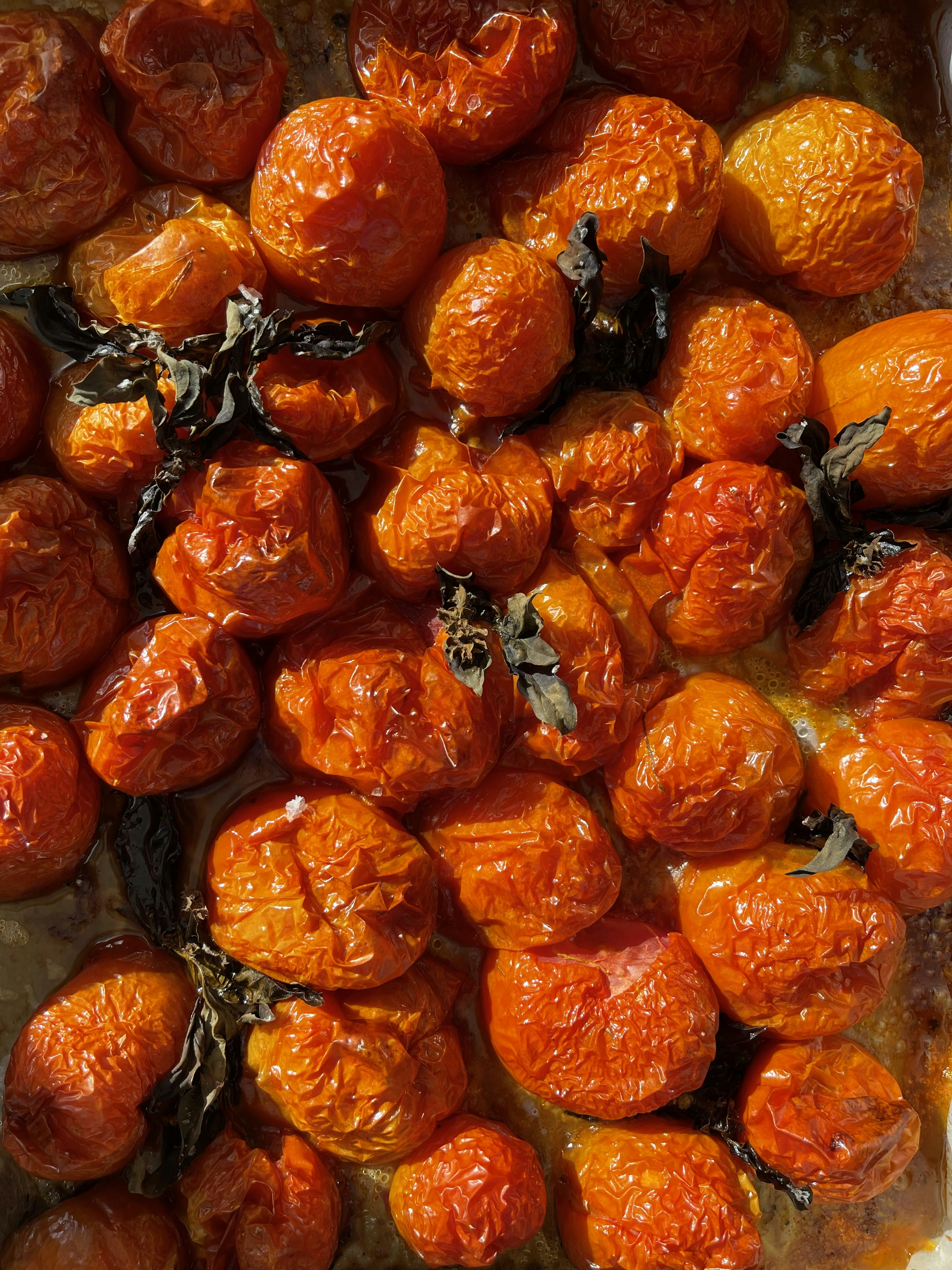 Photo by john_cameron