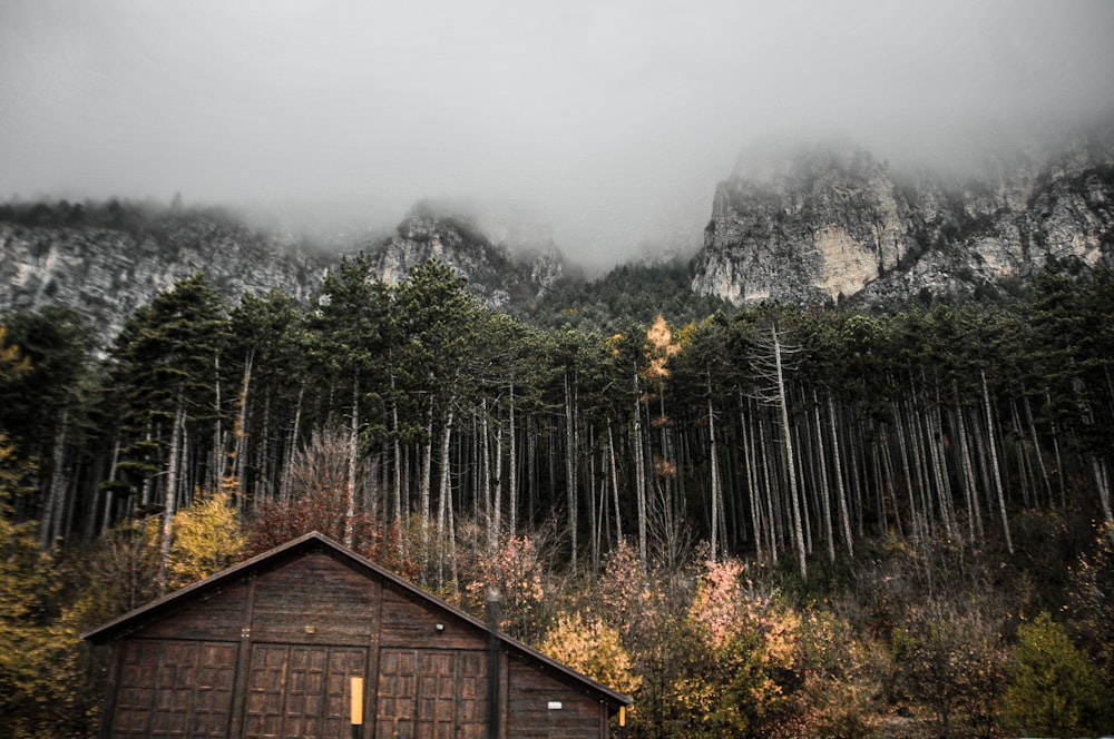 brown wooden house near green trees during foggy day