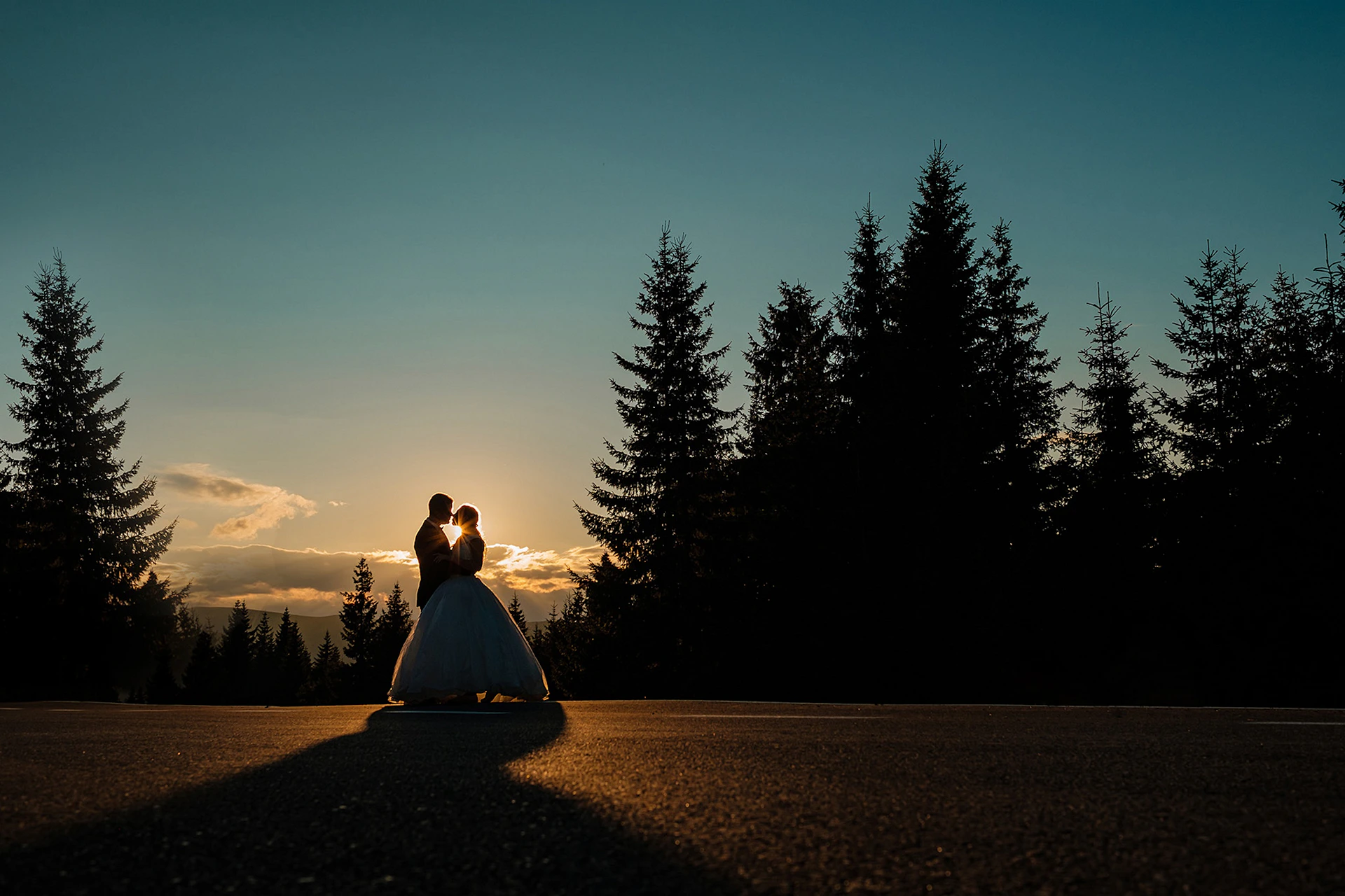 person sitting on the ground in front of the pine trees during night time