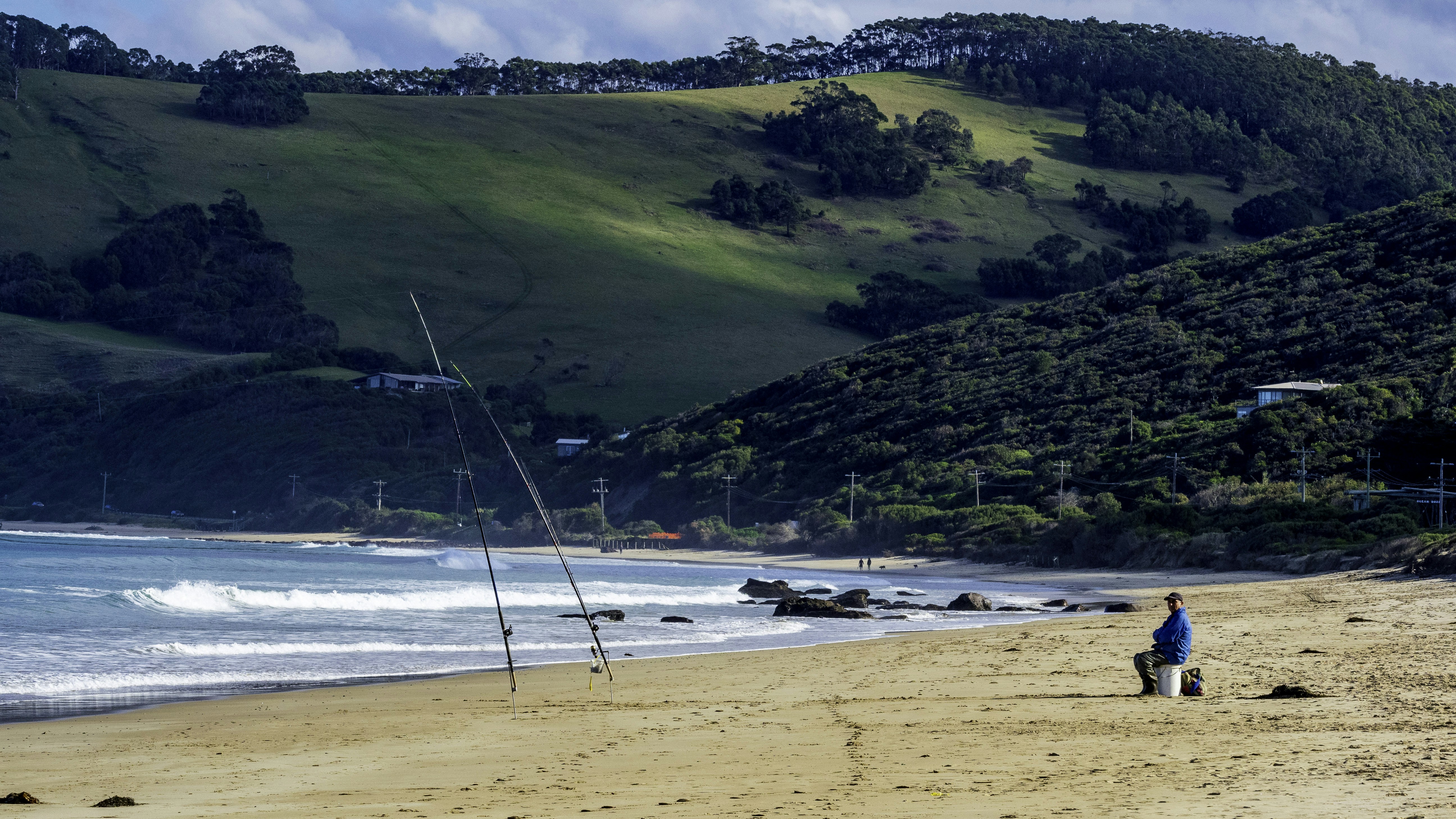people on beach during daytime