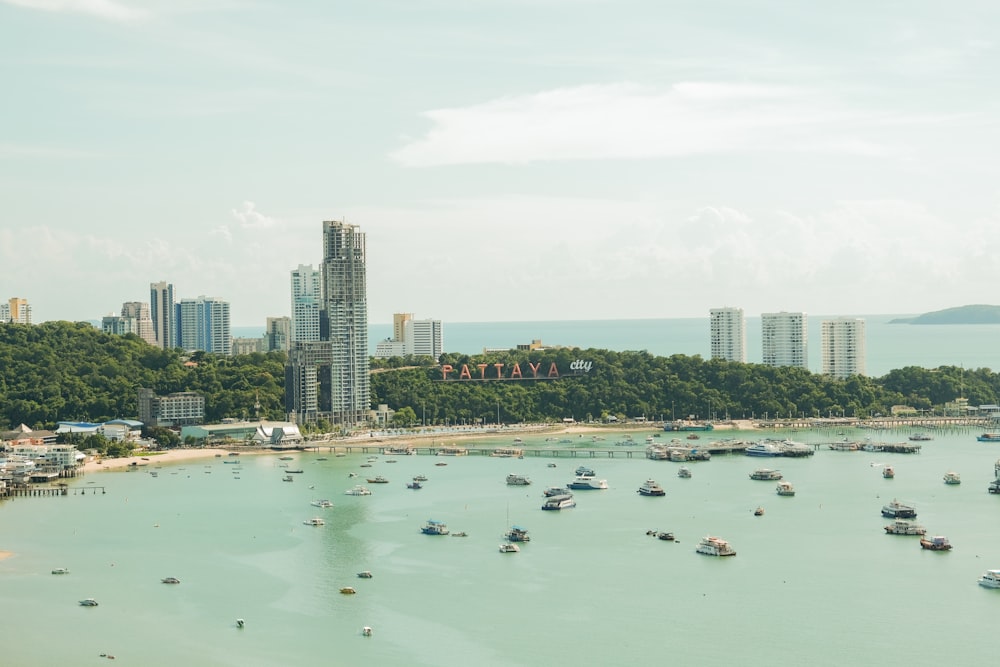 people on beach during daytime