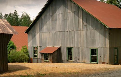 A rustic, large barn made of corrugated metal with multiple green-trimmed windows. The structure has a reddish-brown sloped roof that contrasts with the overcast sky. Surrounding the barn are some trees and patches of dry grass, adding to a rural setting.