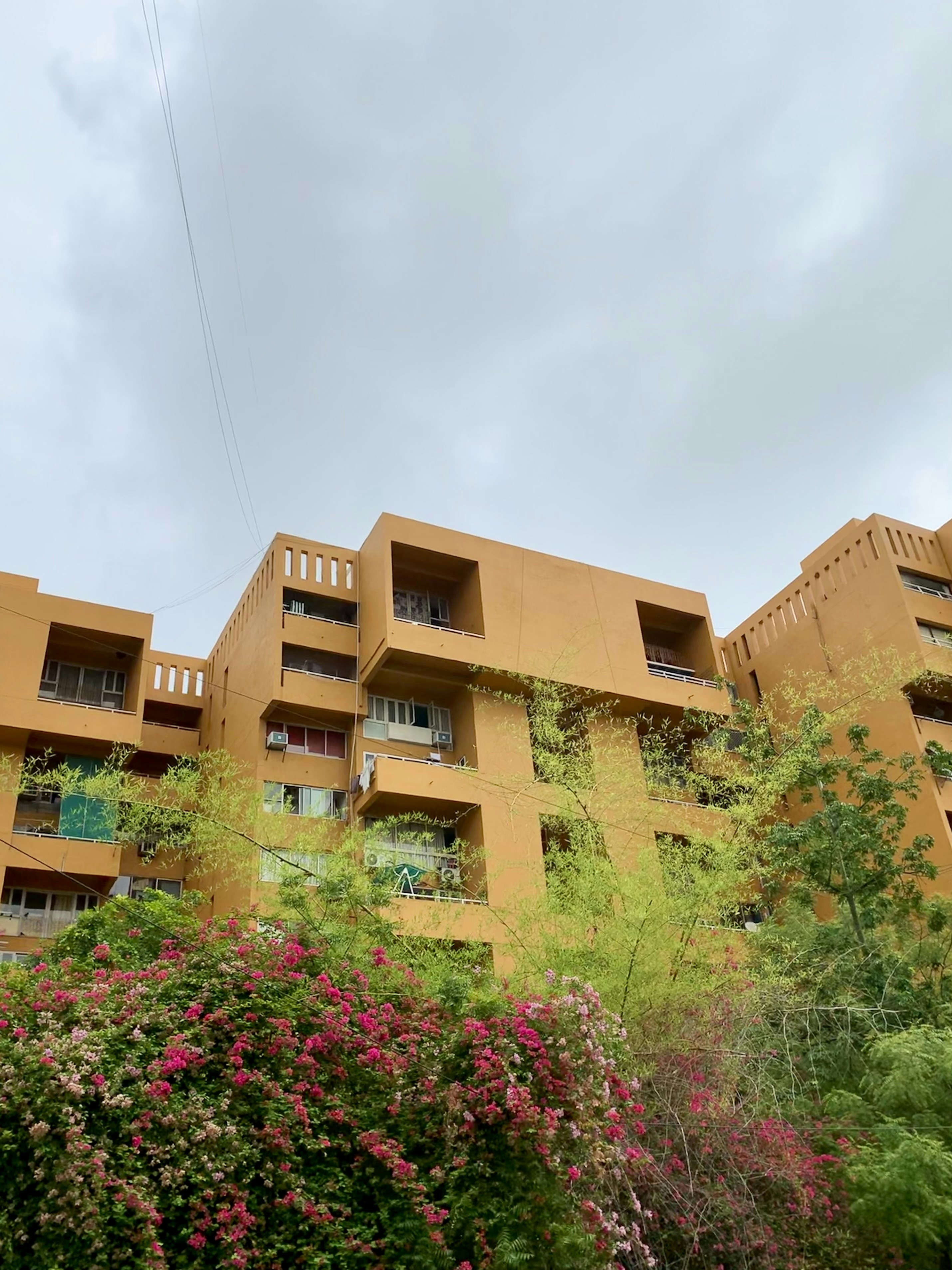 Photo by akshar_dave