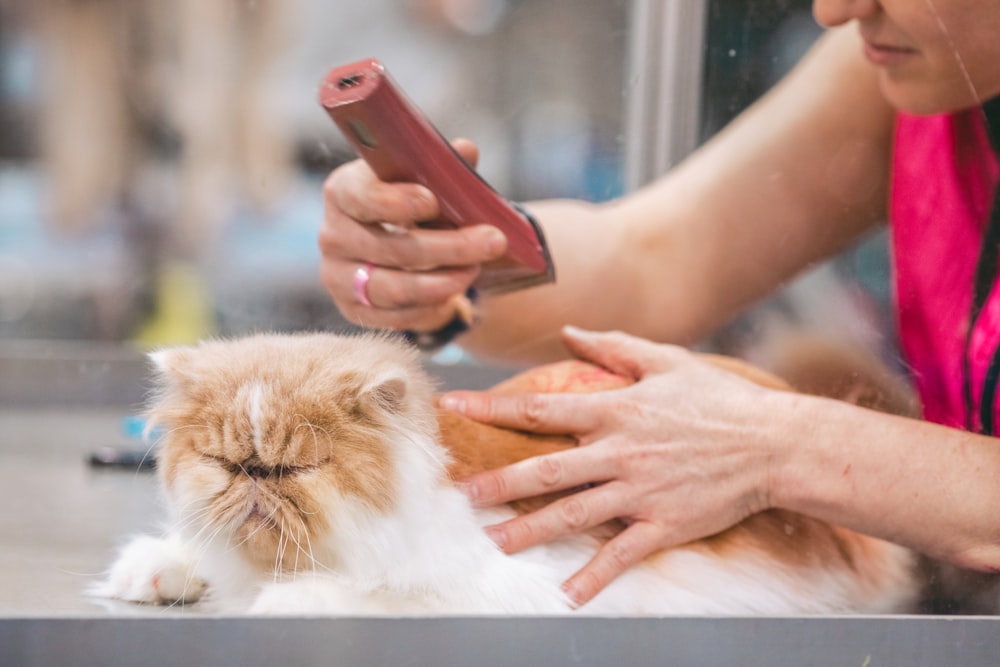 person holding pink iphone case