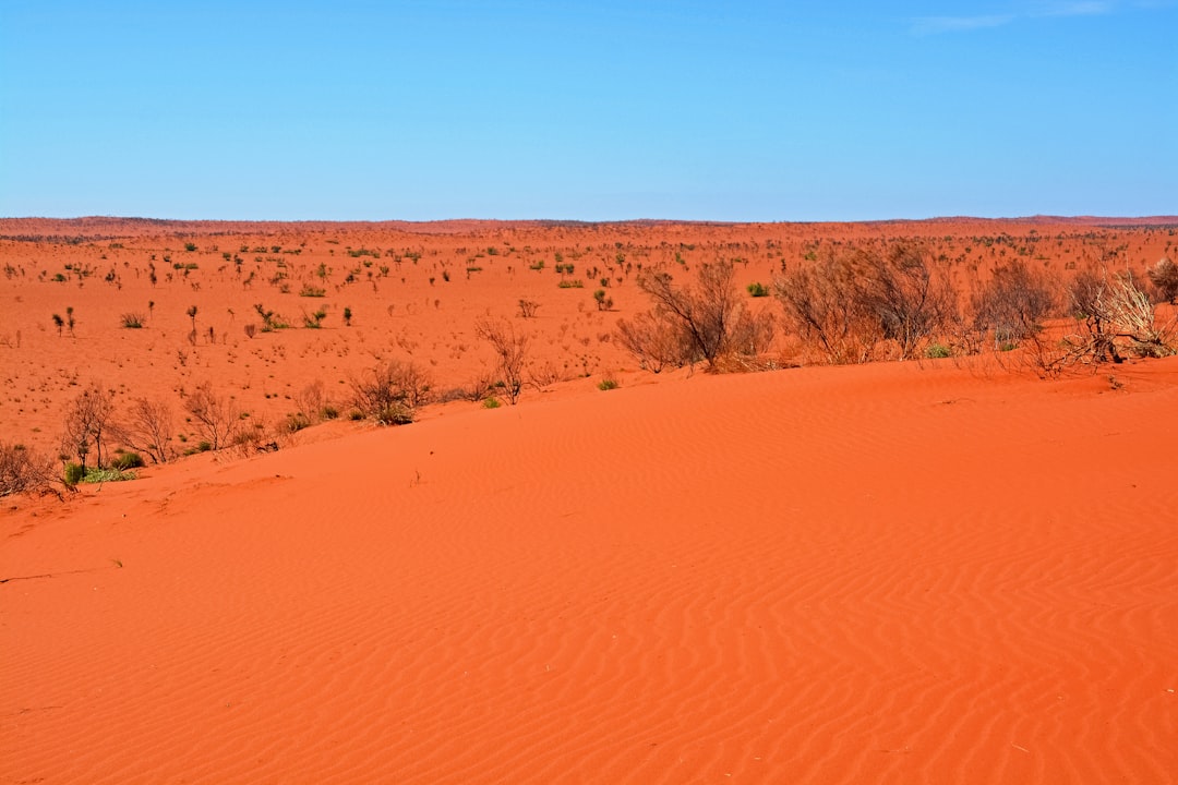 brown field under blue sky during daytime