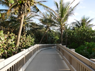 white wooden bridge between green trees during daytime