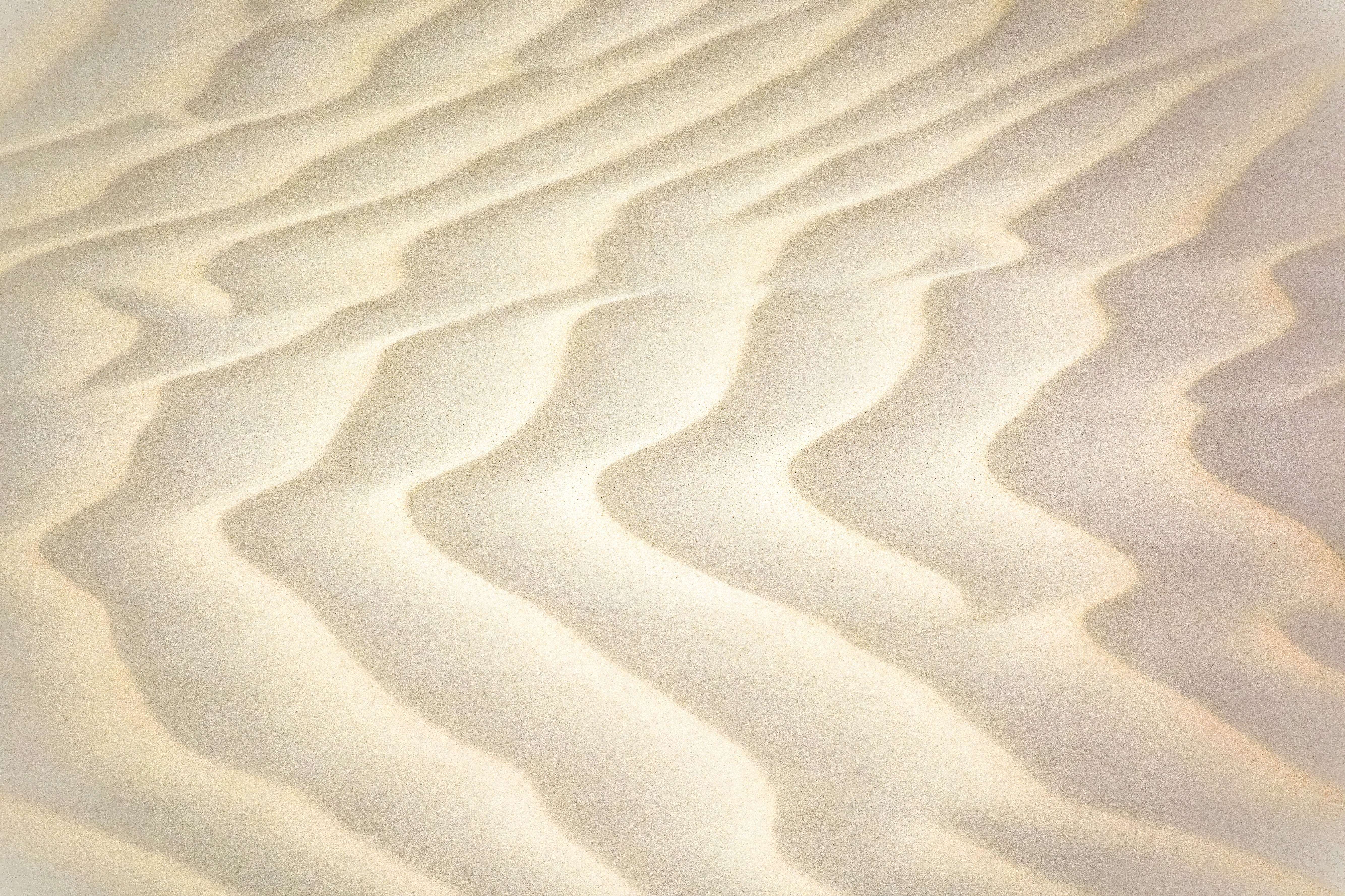 white sand with shadow of person timeless teams background