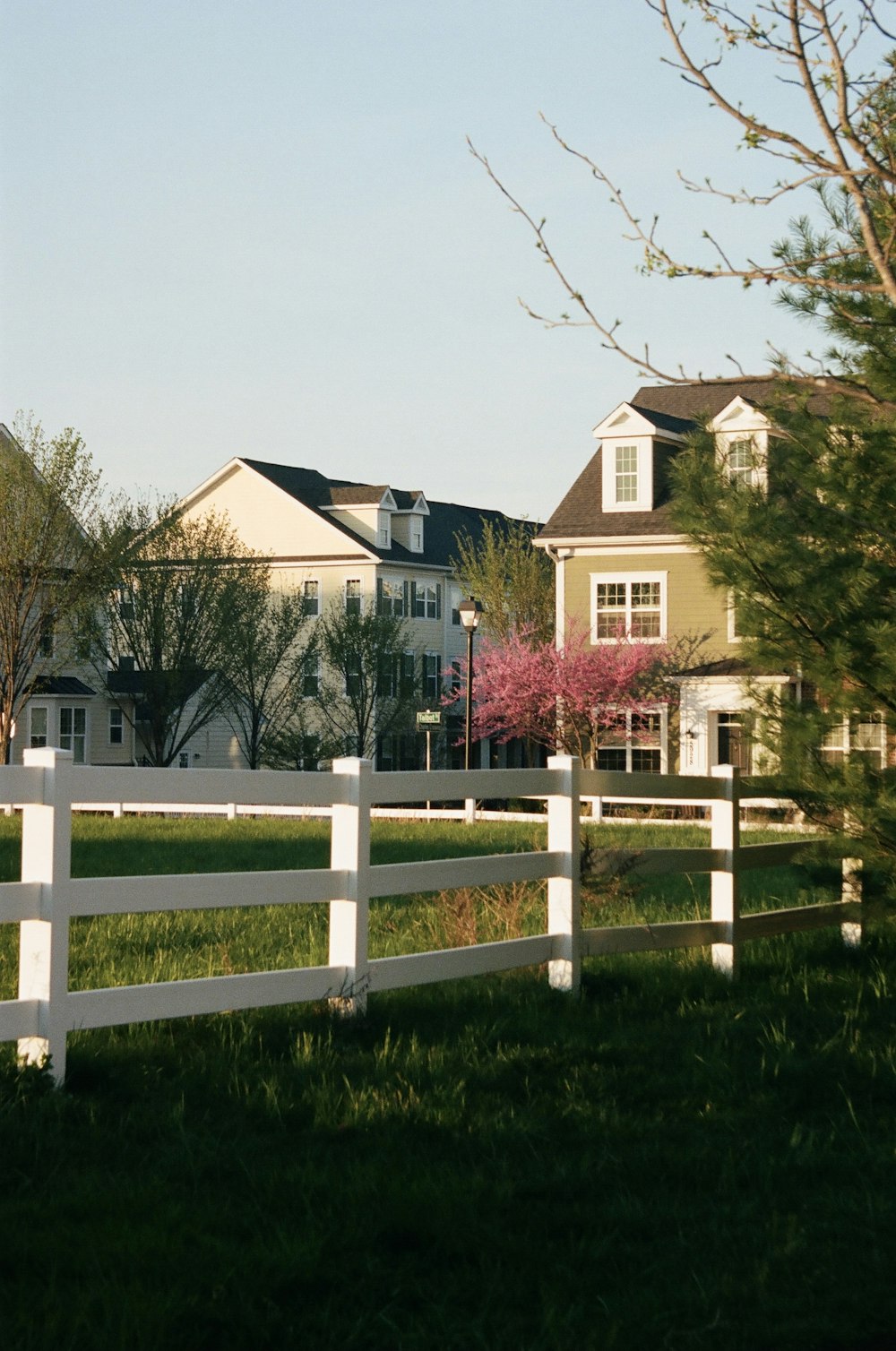 낮에는 푸른 잔디밭 근처의 갈색과 흰색 콘크리트 집