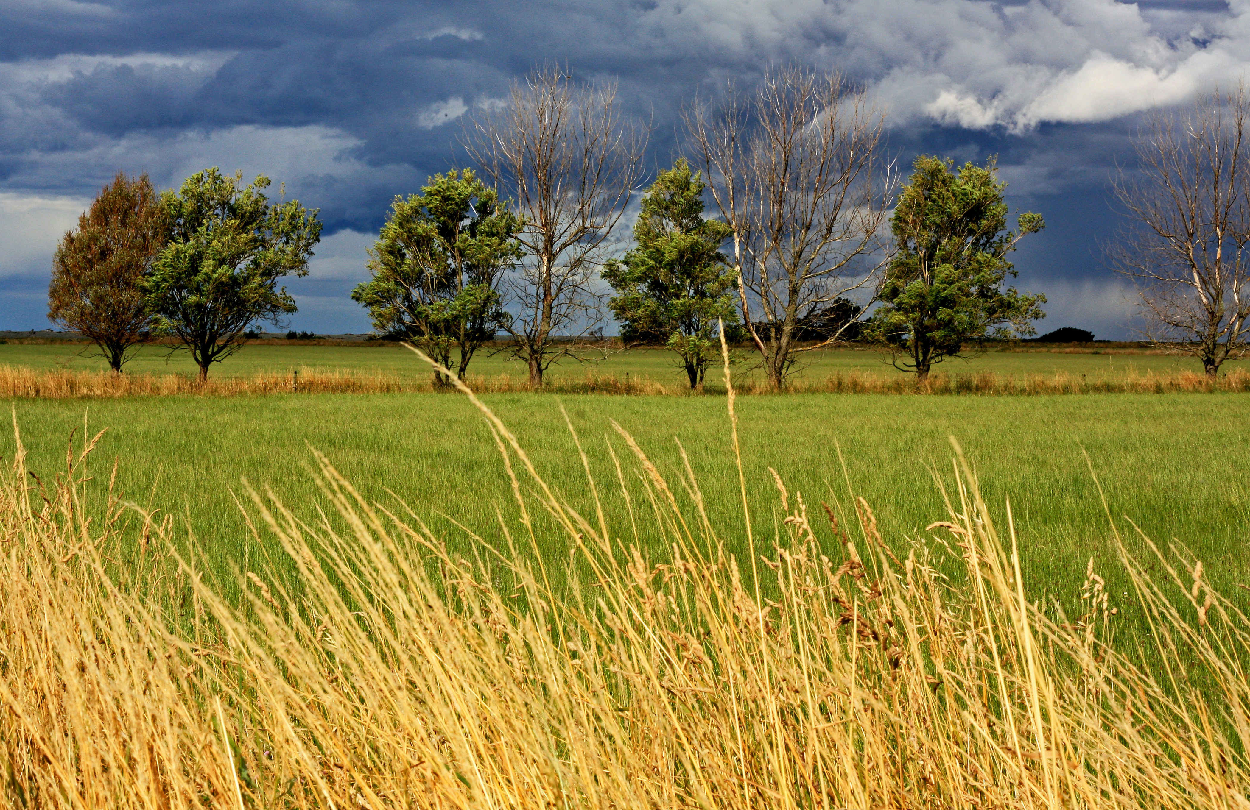 Photo by splashabout