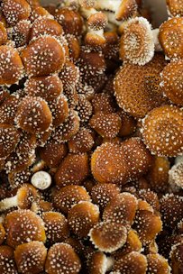 brown and white round fruits