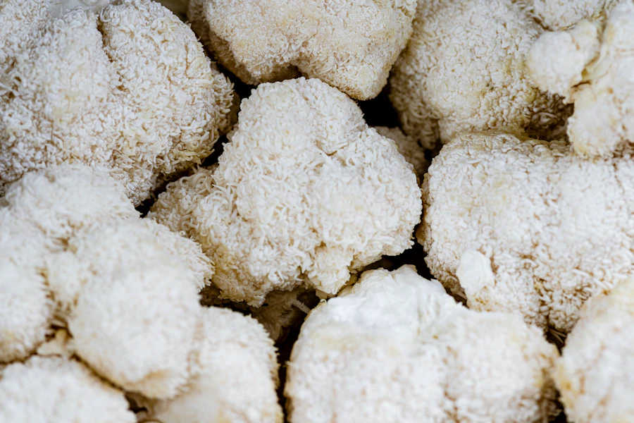 Lion's Mane Mushroom: The Science and What No One Tells You