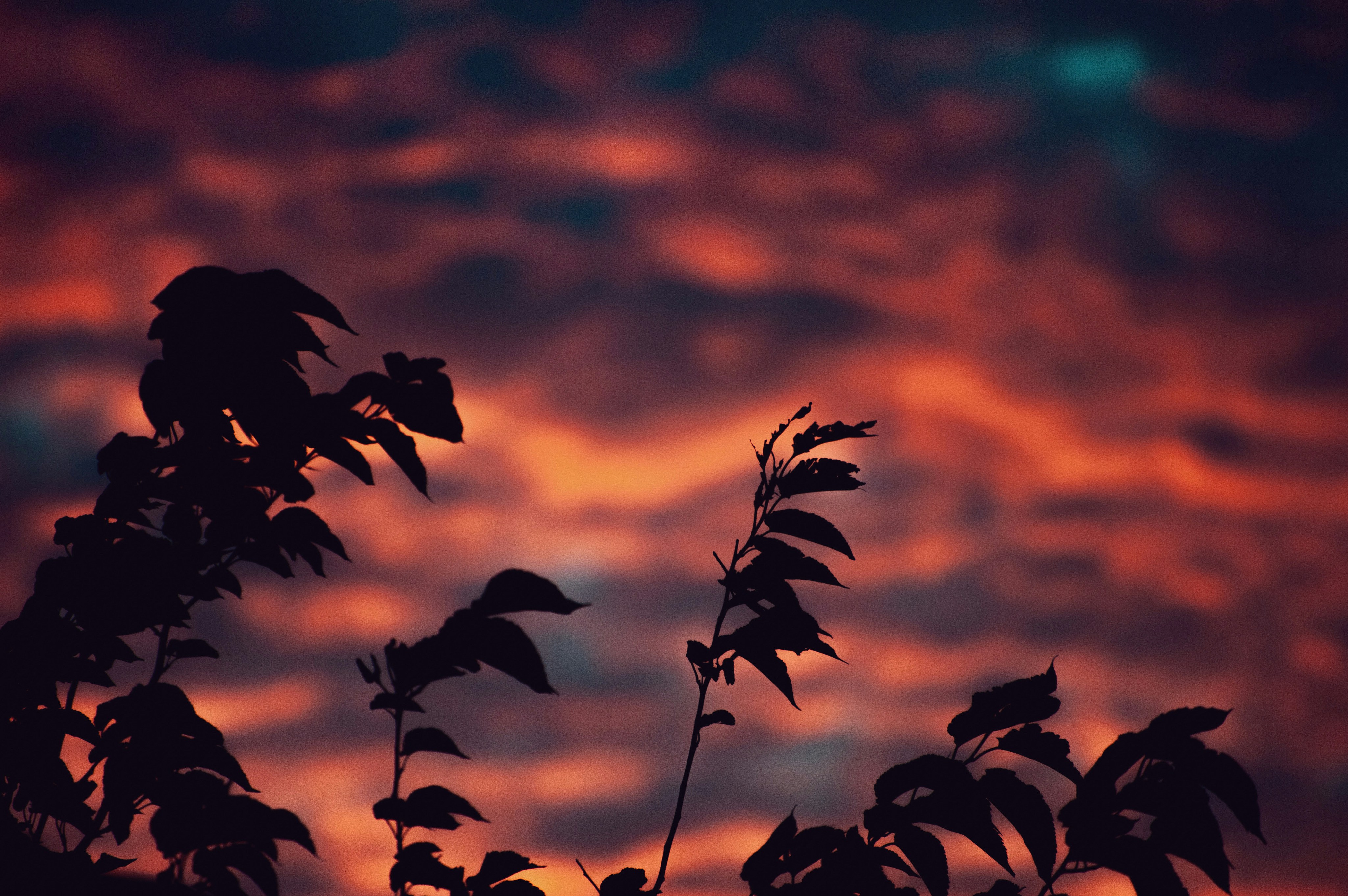 Photo by luisjlara343