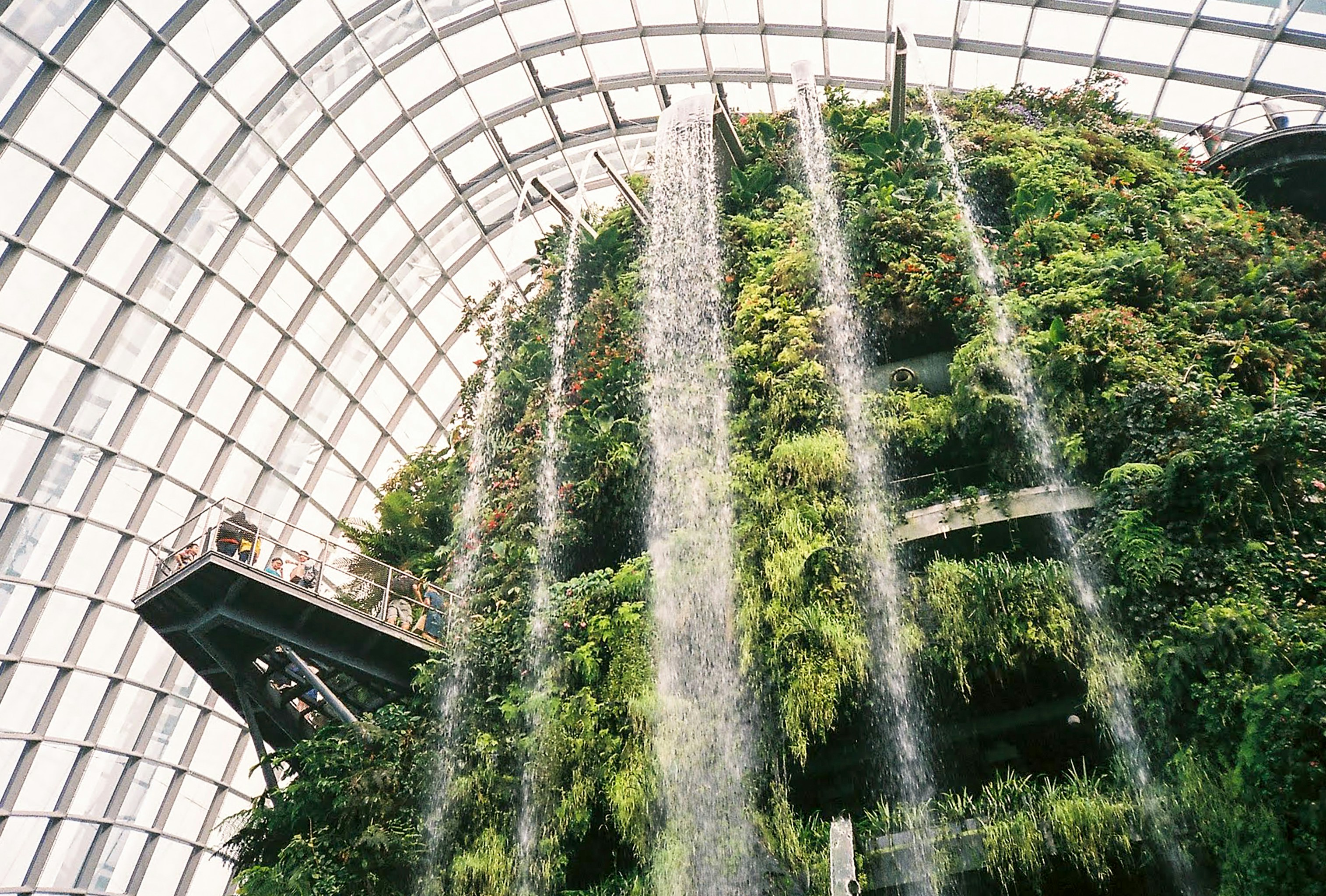 Green plants in white building interior