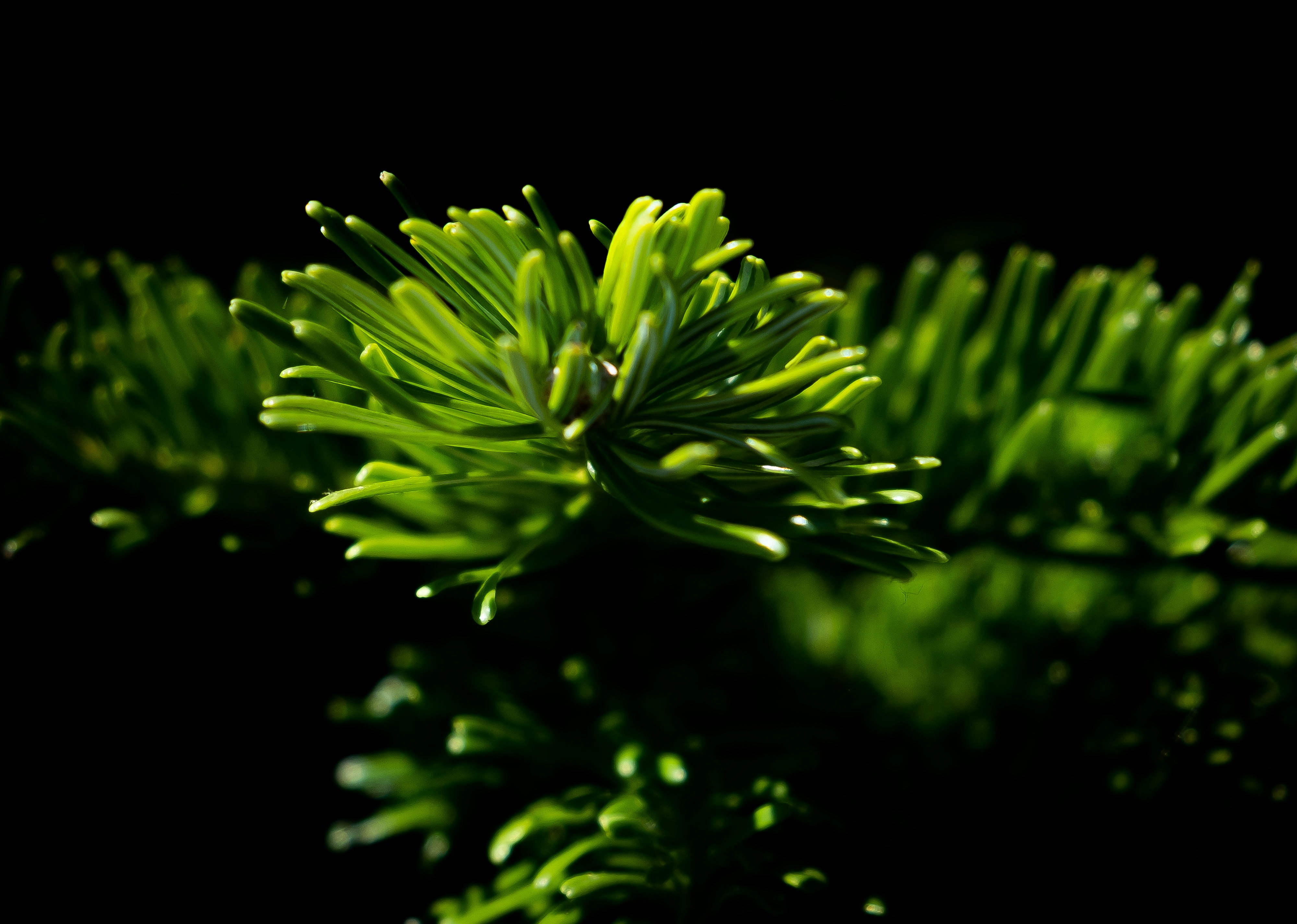 Photo by moritz_photography