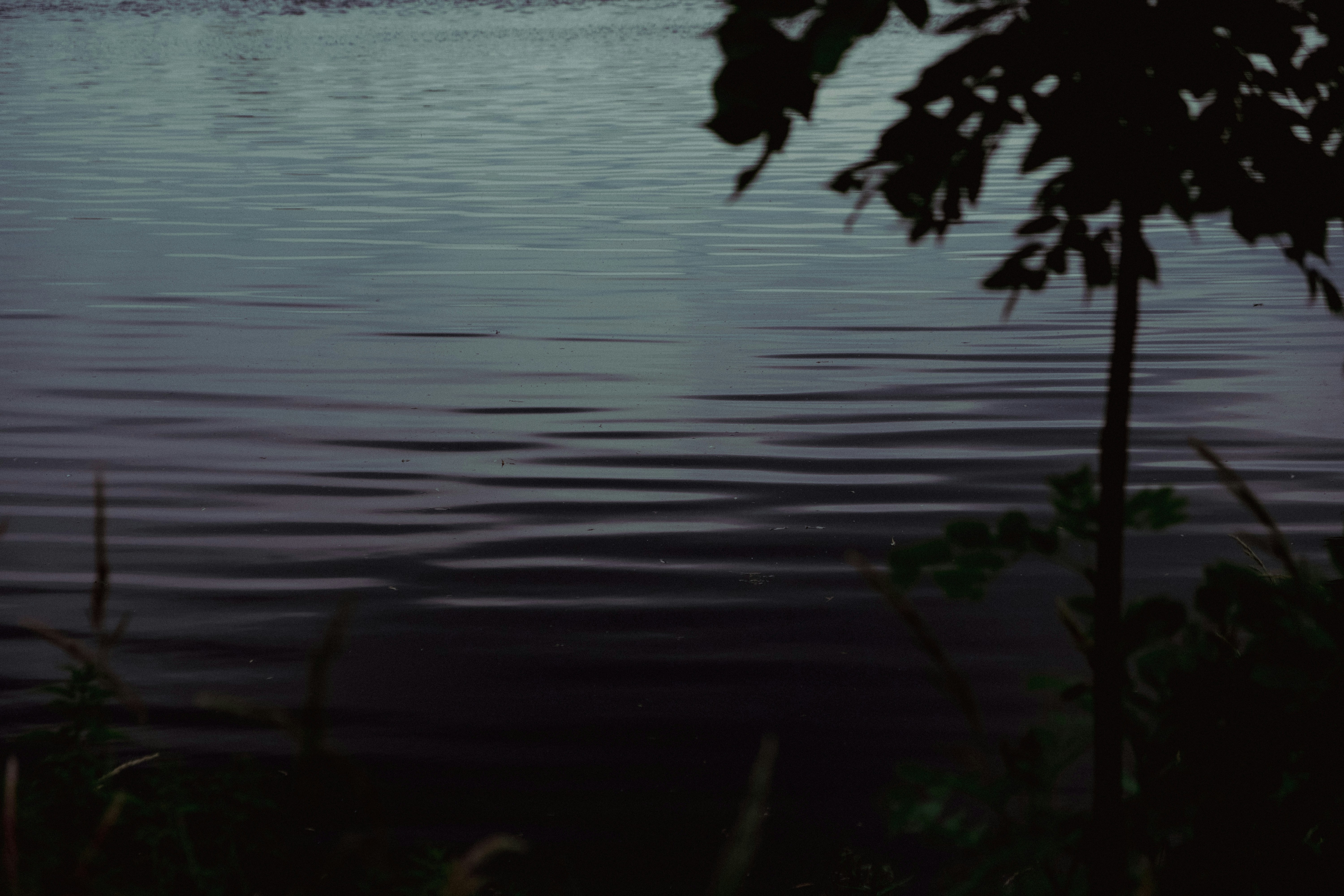 Photo by moritz_photography