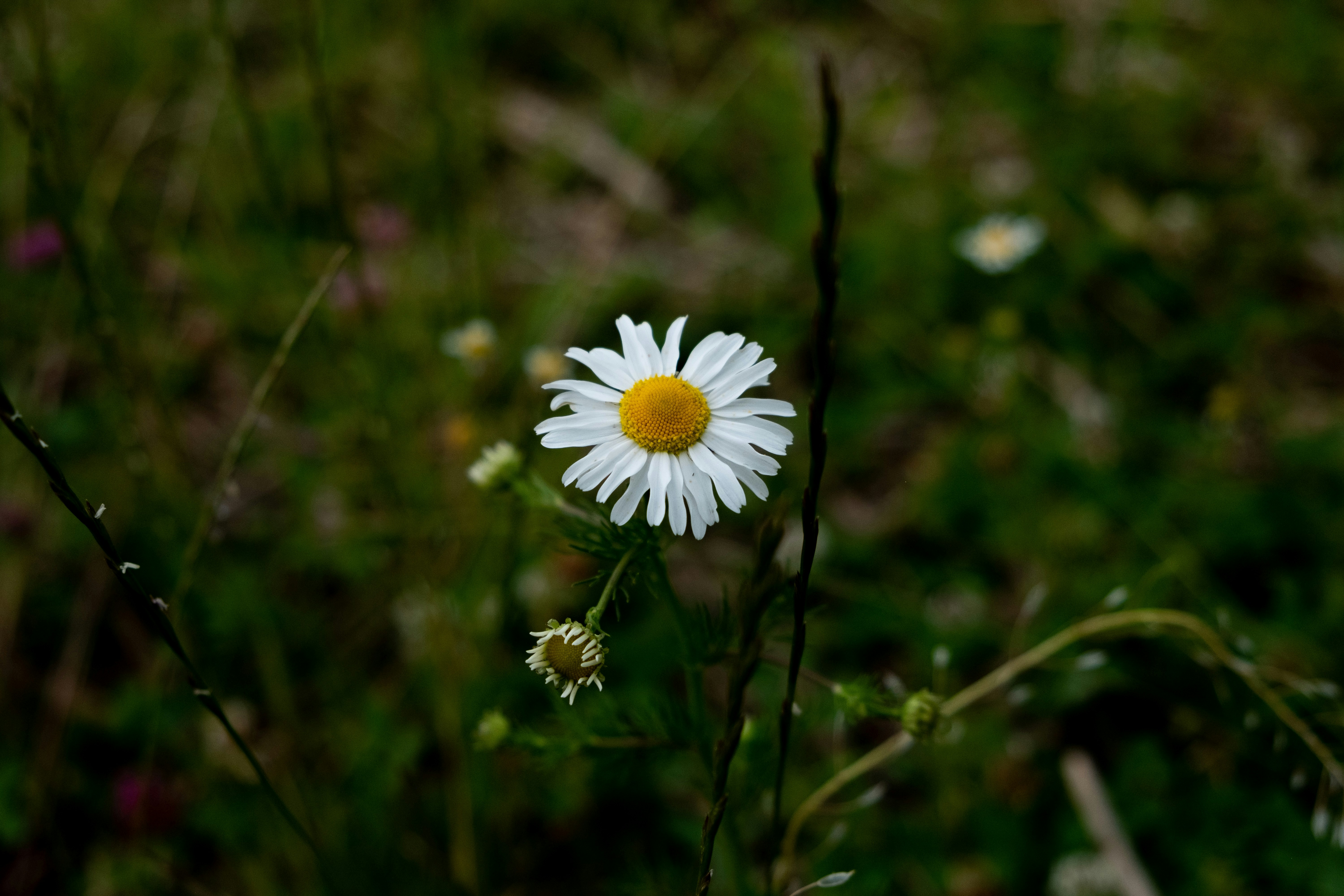 Photo by moritz_photography