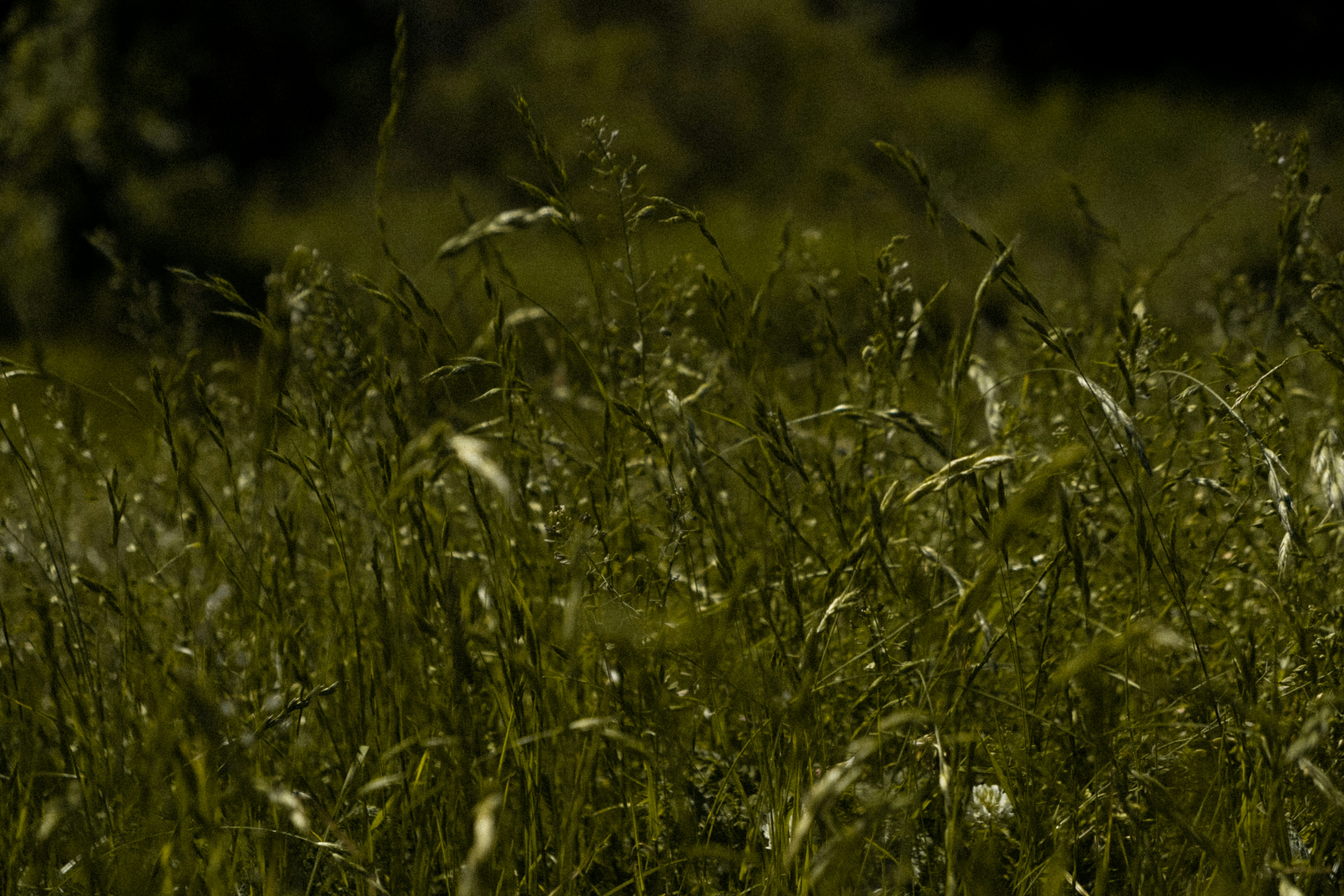 Photo by moritz_photography