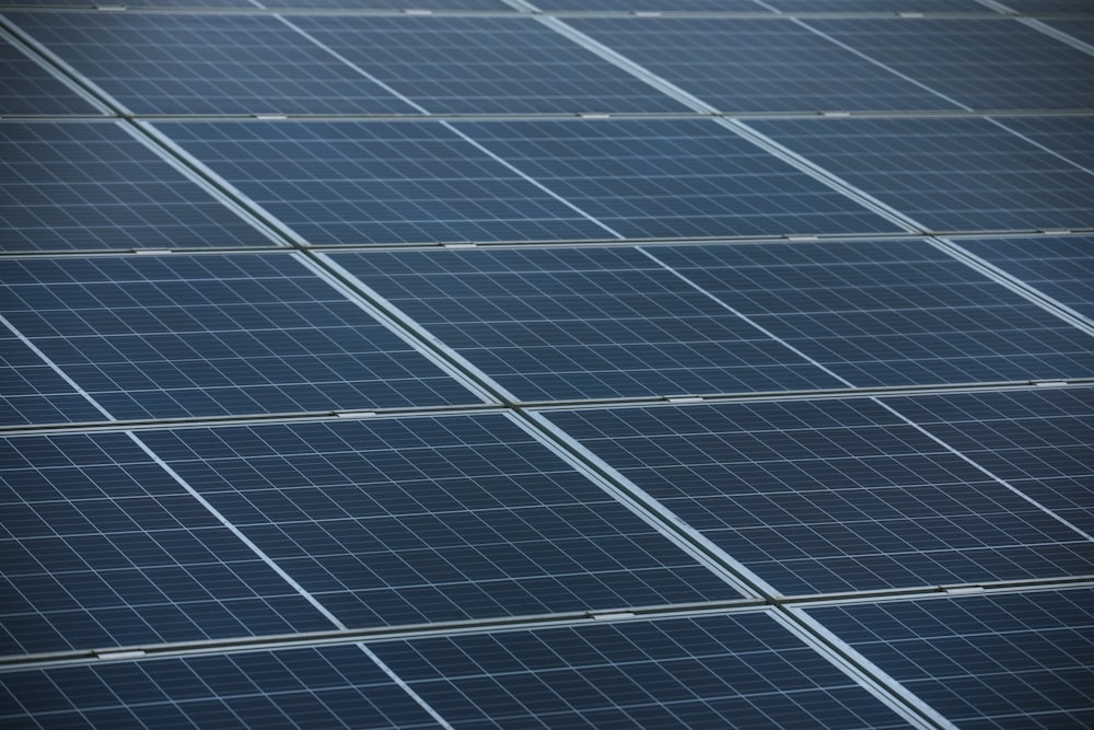 white and blue solar panels