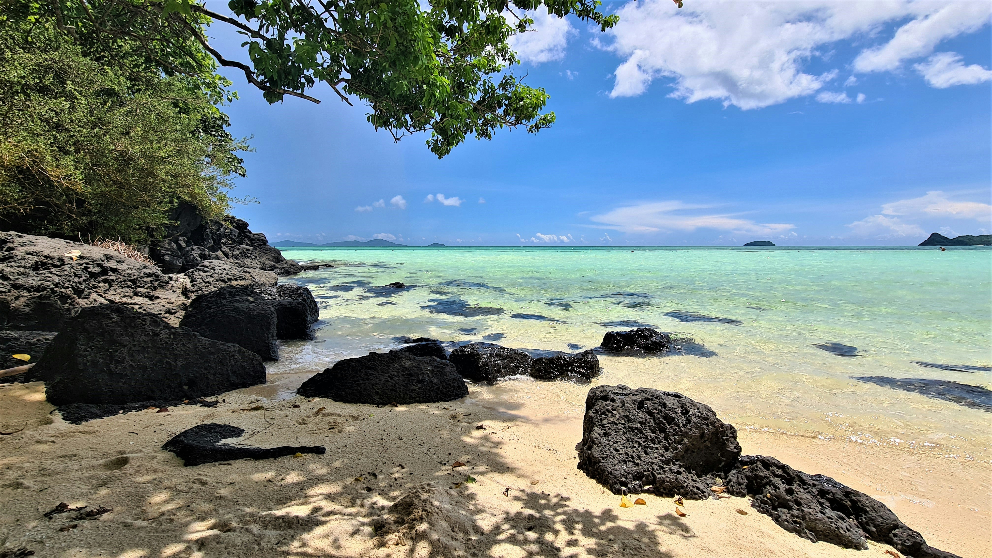 Photo by aliboyphotography