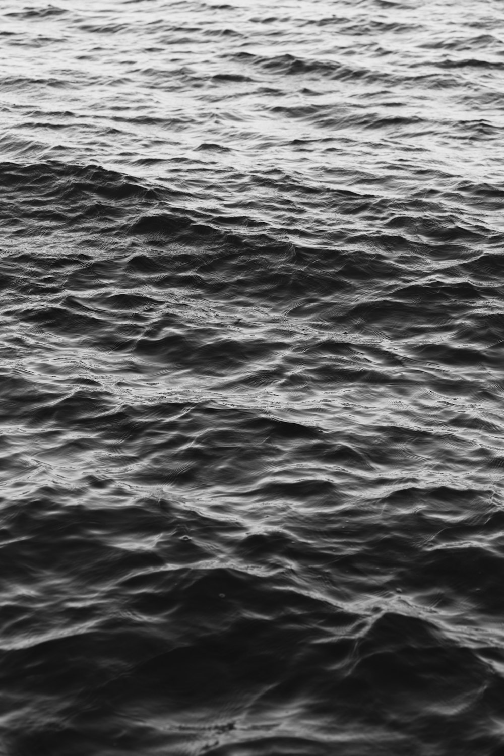 grayscale photo of body of water