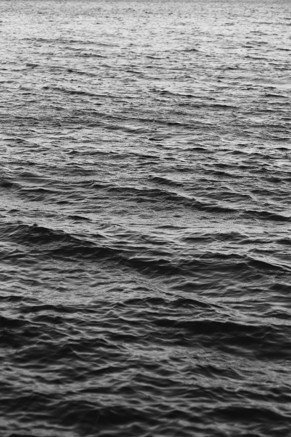 grayscale photo of body of water