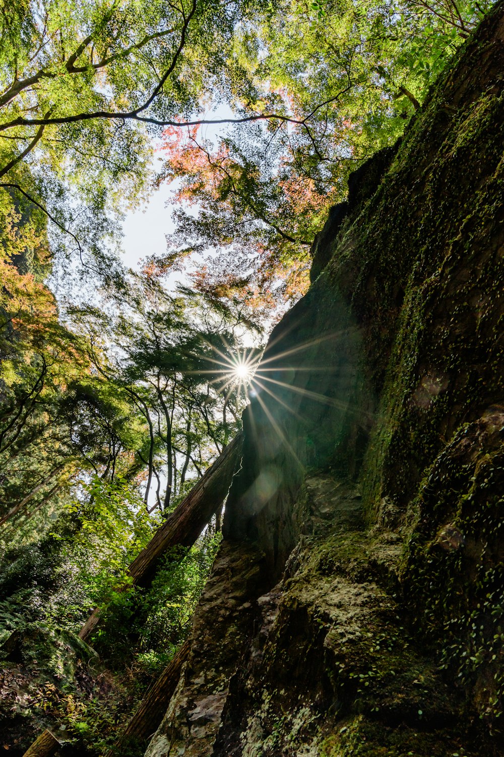 sun rays coming through green and brown mountain