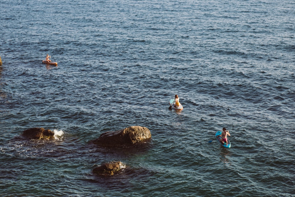 people swimming on sea during daytime