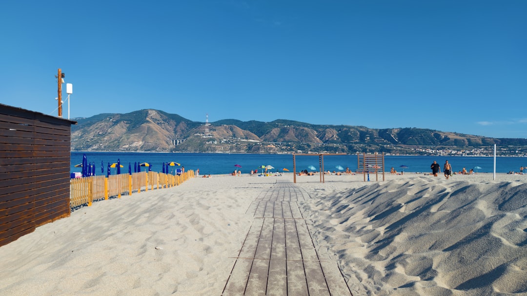 people on beach during daytime