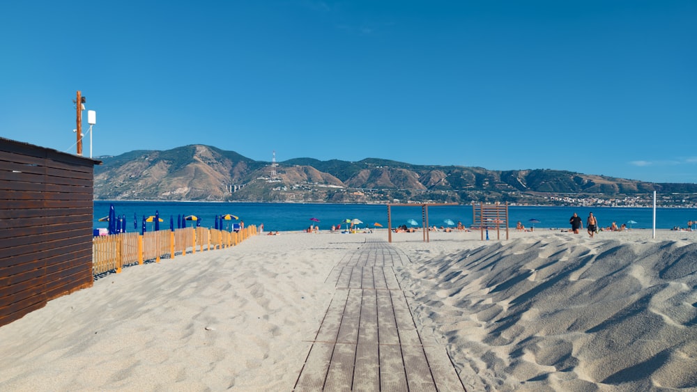 people on beach during daytime