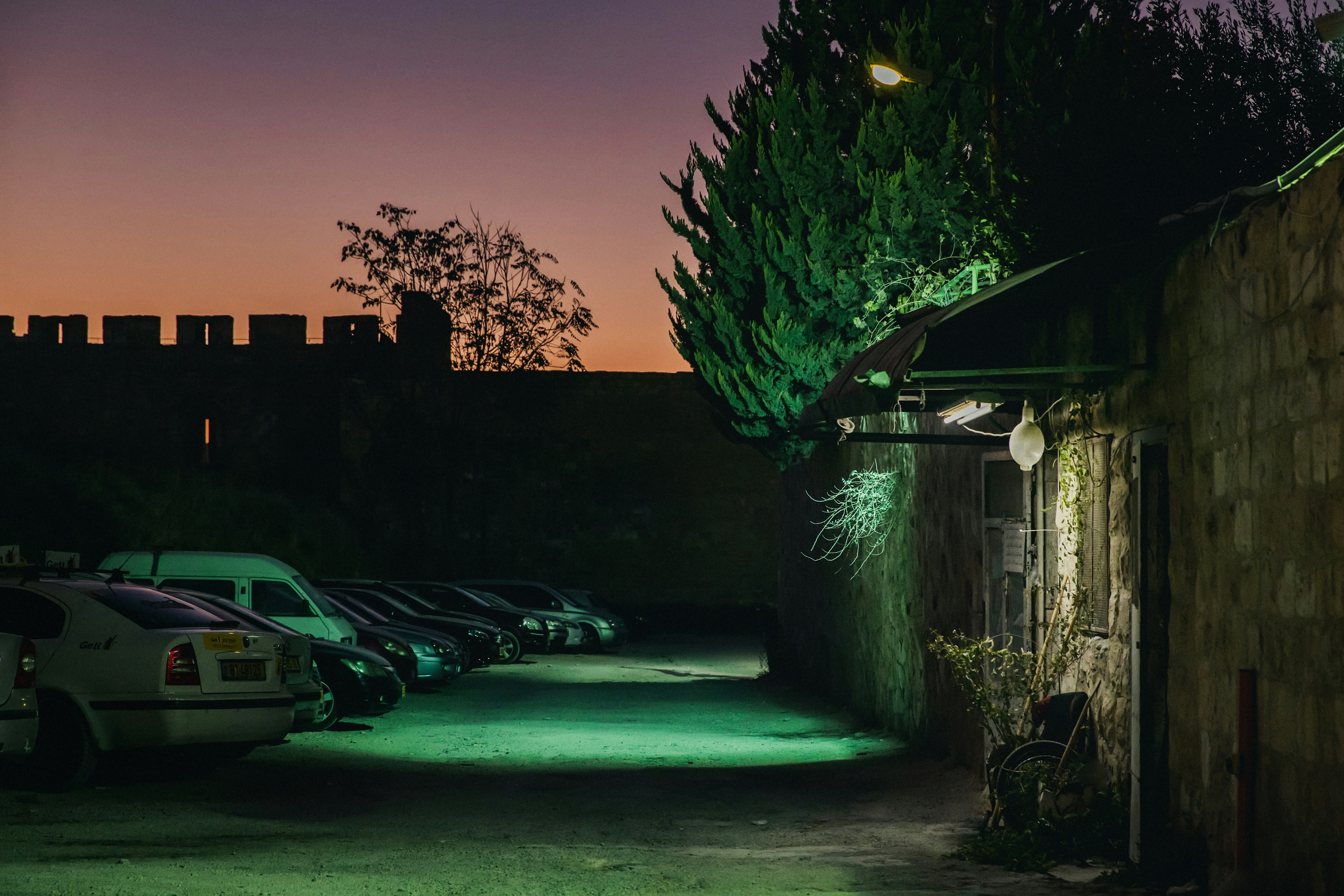 Green and yellow string lights on green tree