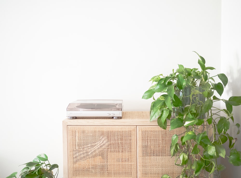 white split type air conditioner beside green plant