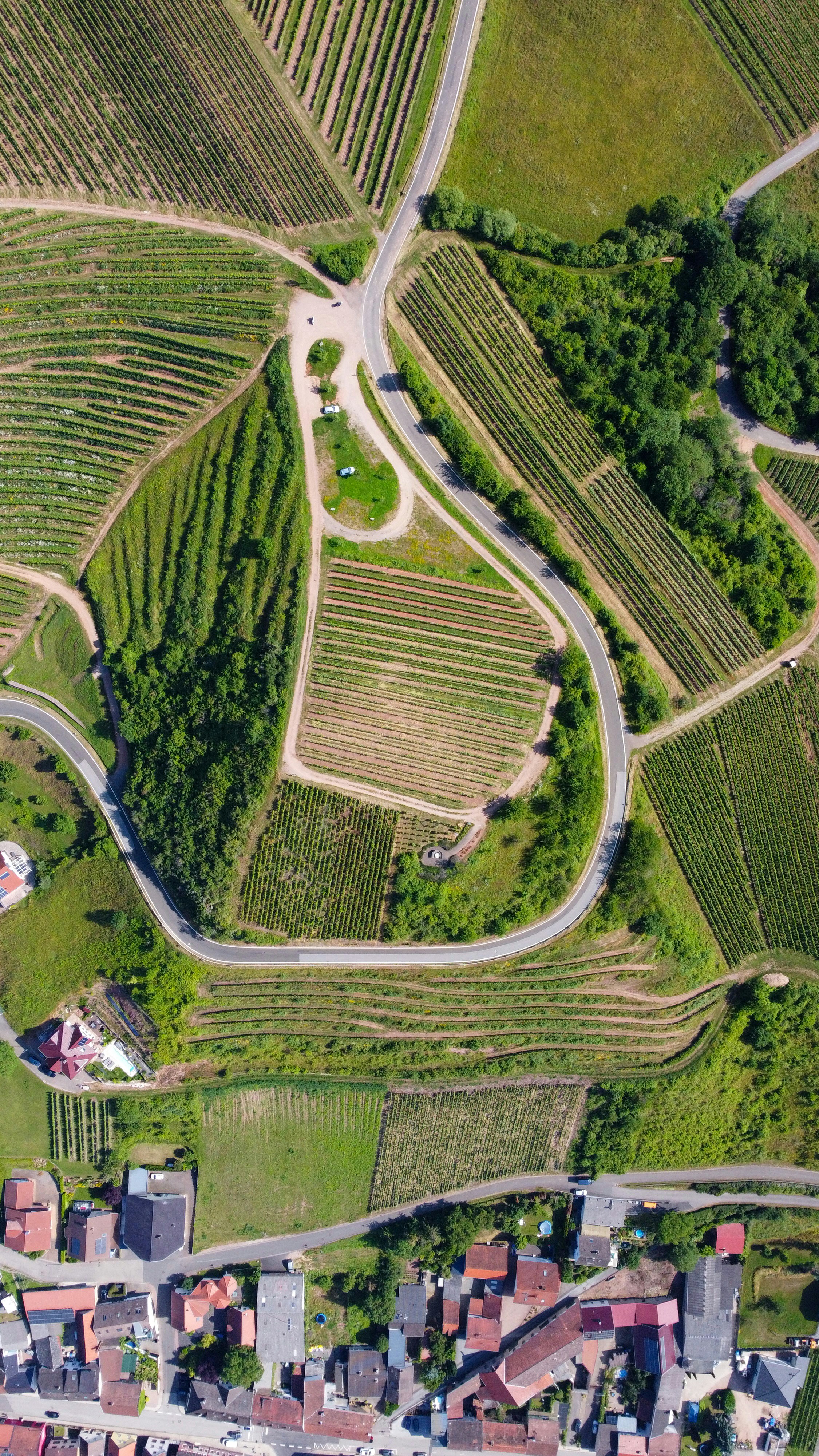 aerial view of green grass field