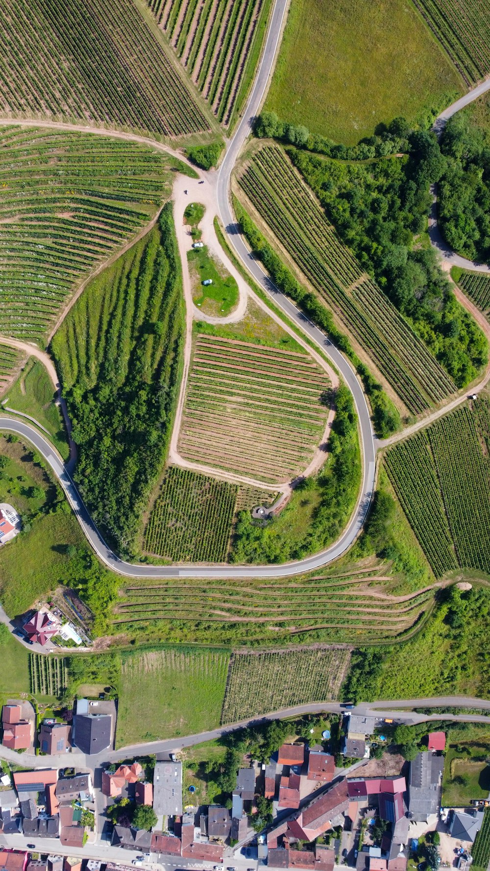 Luftaufnahme des grünen Grasfeldes