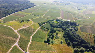 Aerial view of several plots divided by hedges and small paths.