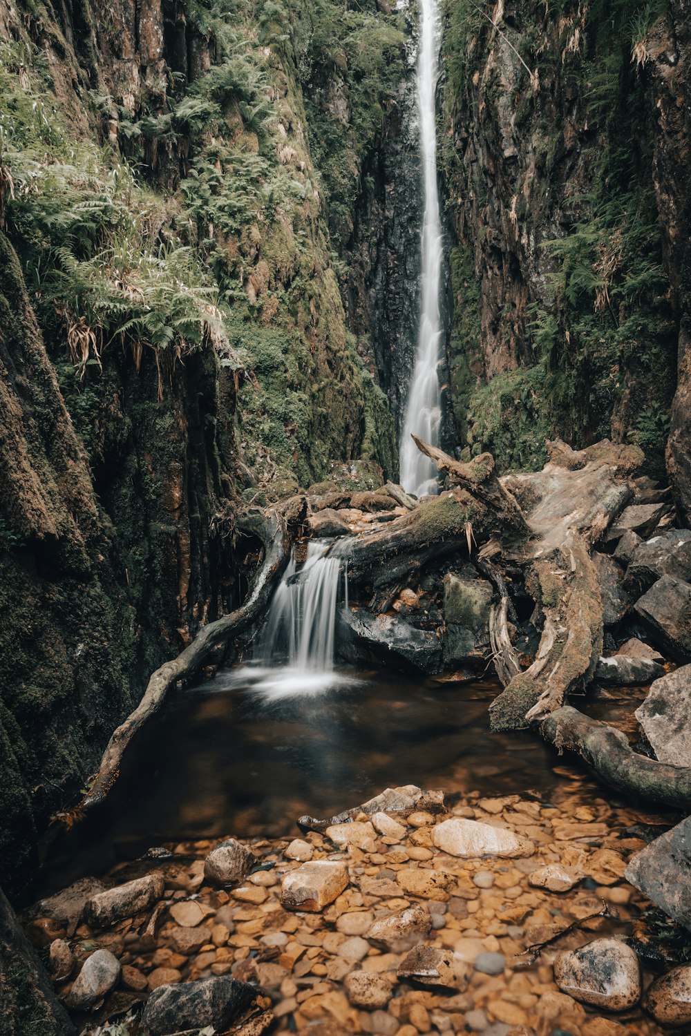 brown tree trunk on water falls