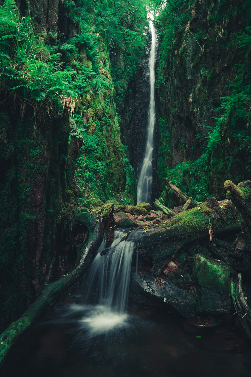 brown tree log in front of waterfalls