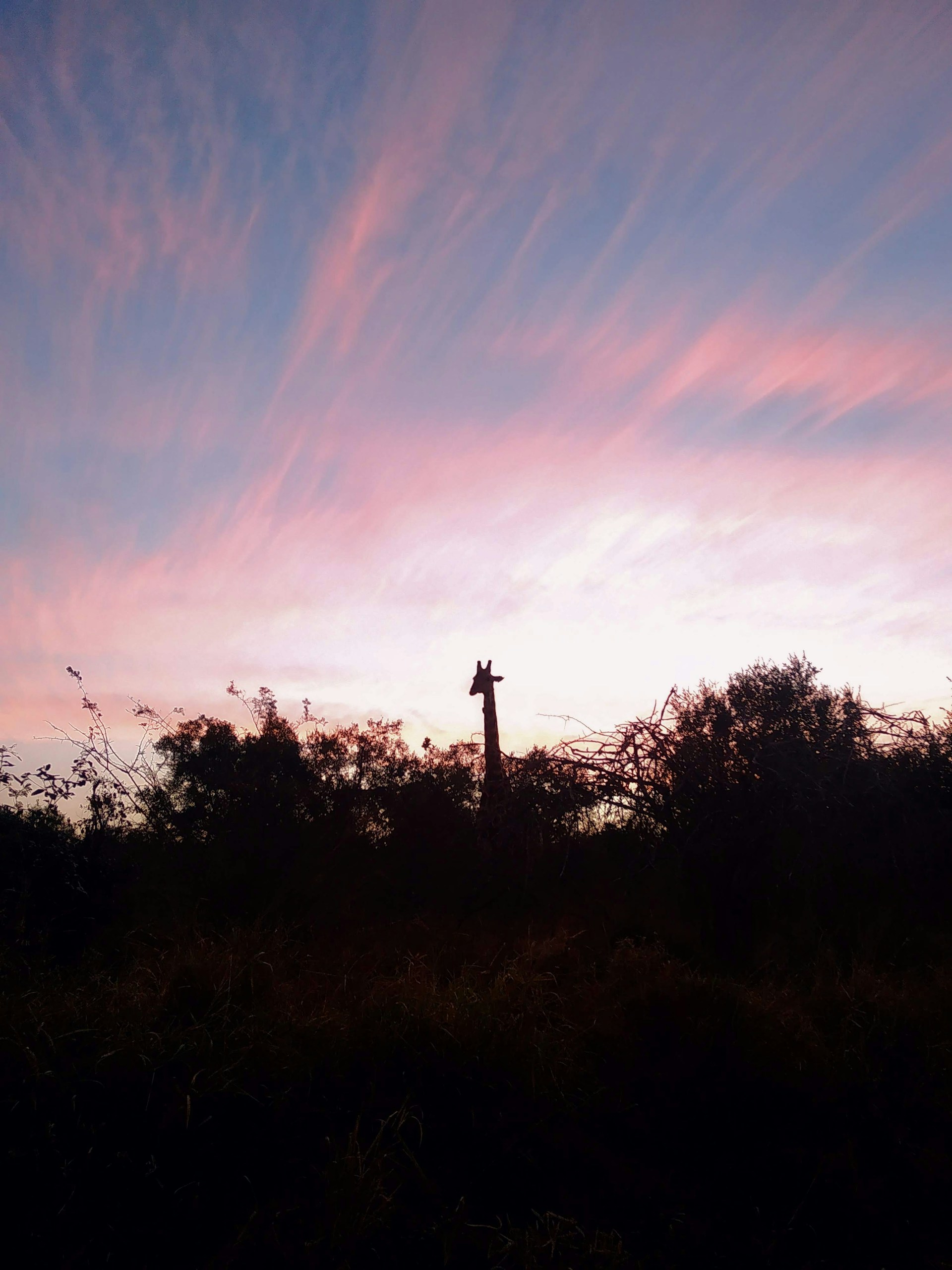 woman wearing yellow long-sleeved dress under white clouds and blue sky during daytime